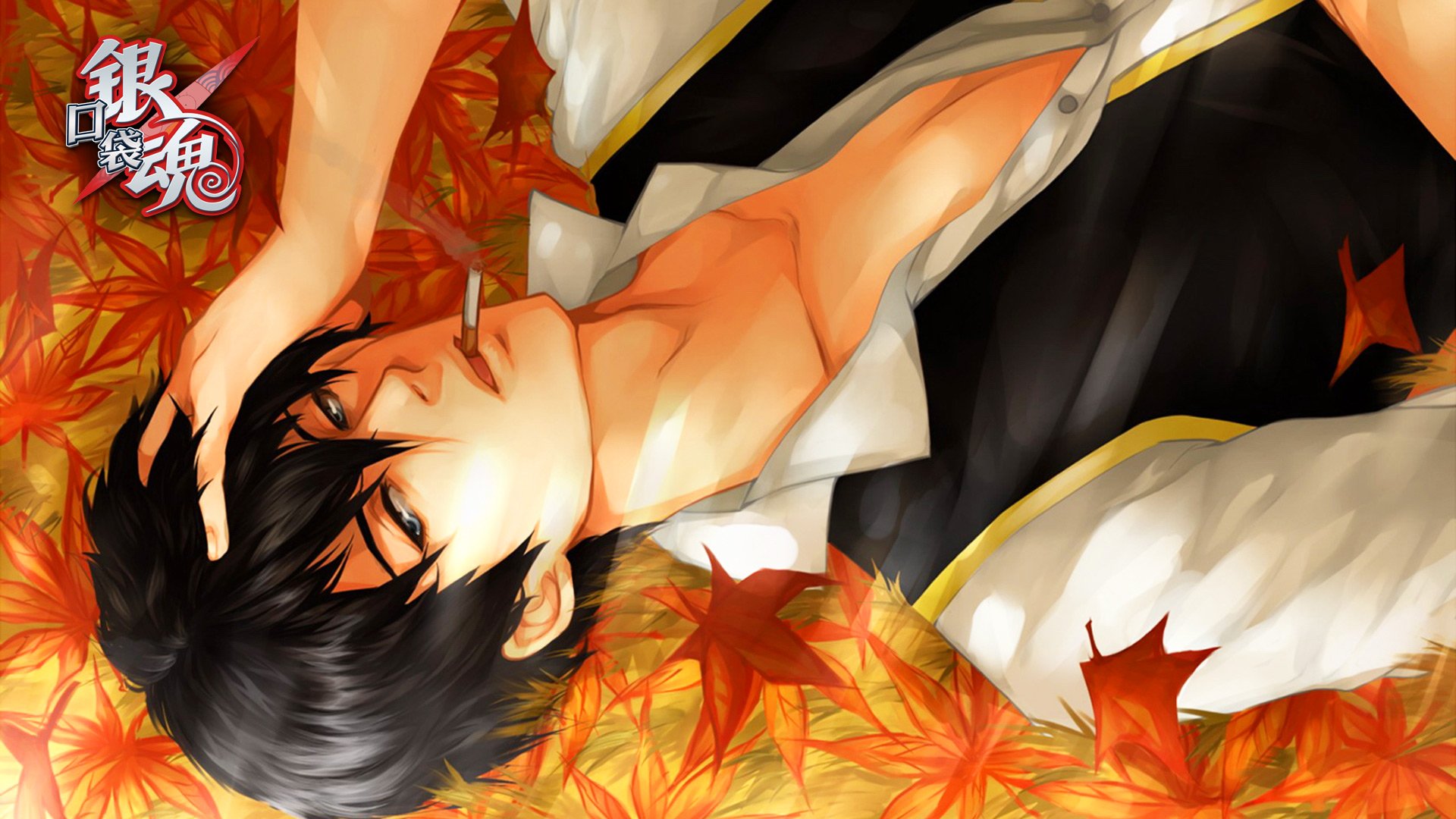 动漫 吐槽 银魂 日本 二次元 日漫 小清新 Q 坂田 坂田银时 银桑 万事屋 口袋银魂