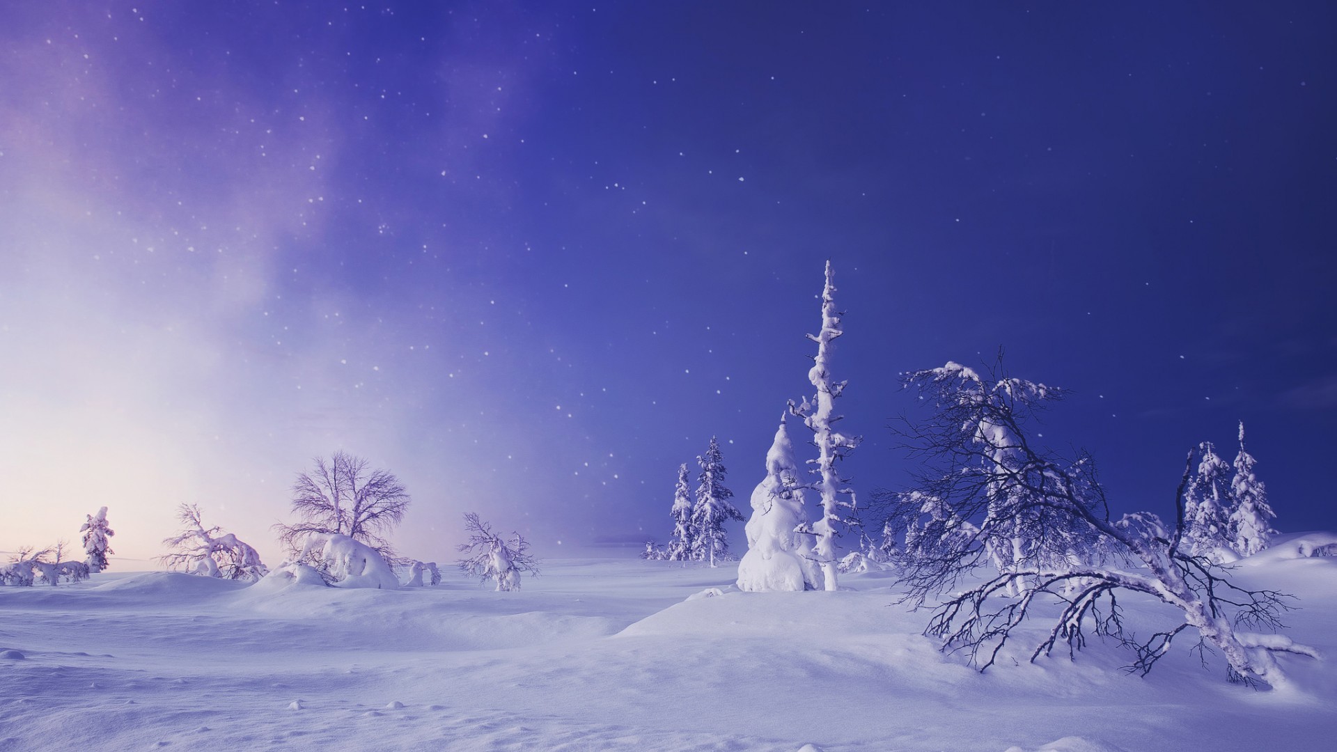冰天雪地