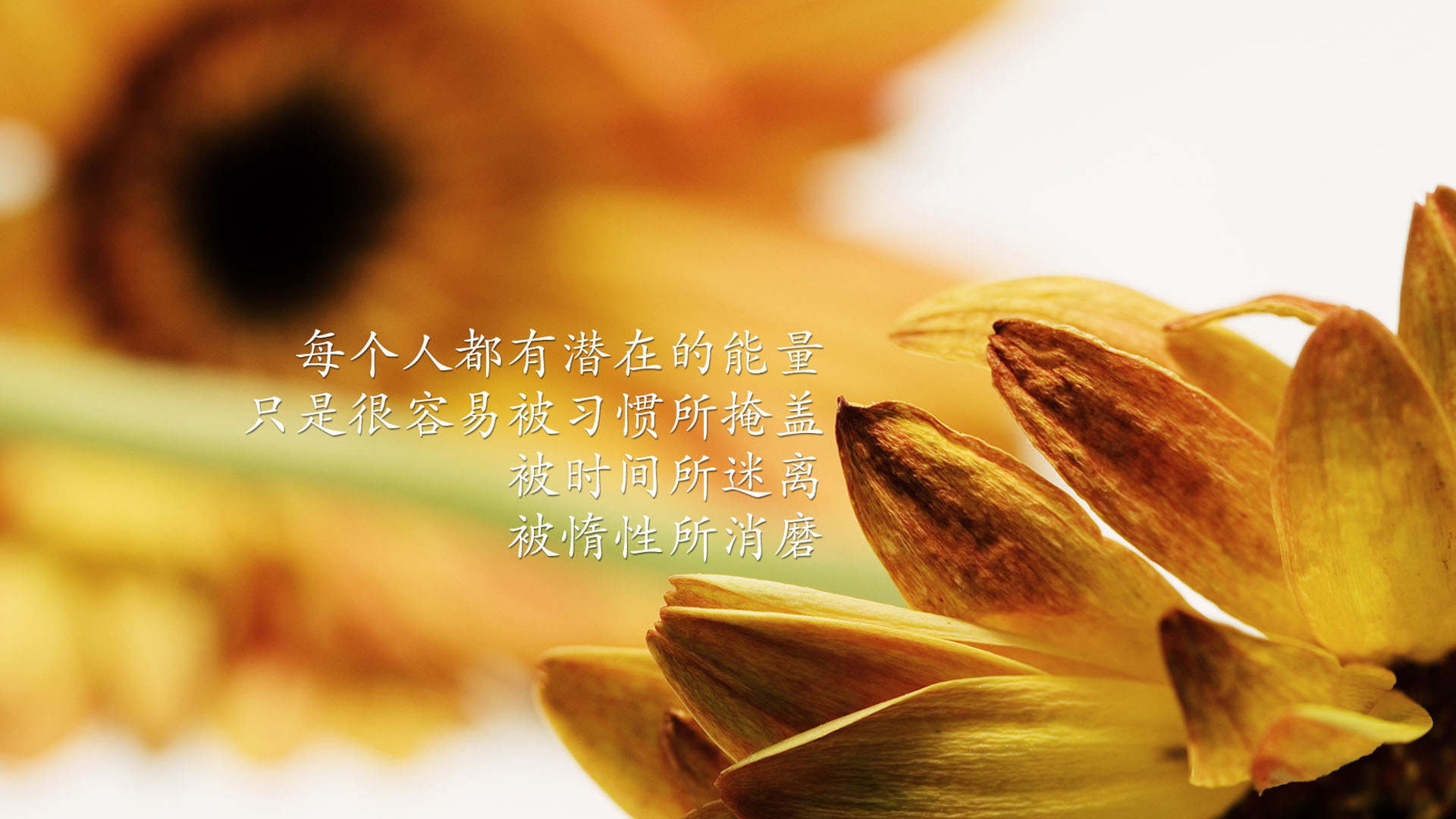 励志 励志名言 言之有理 宽屏