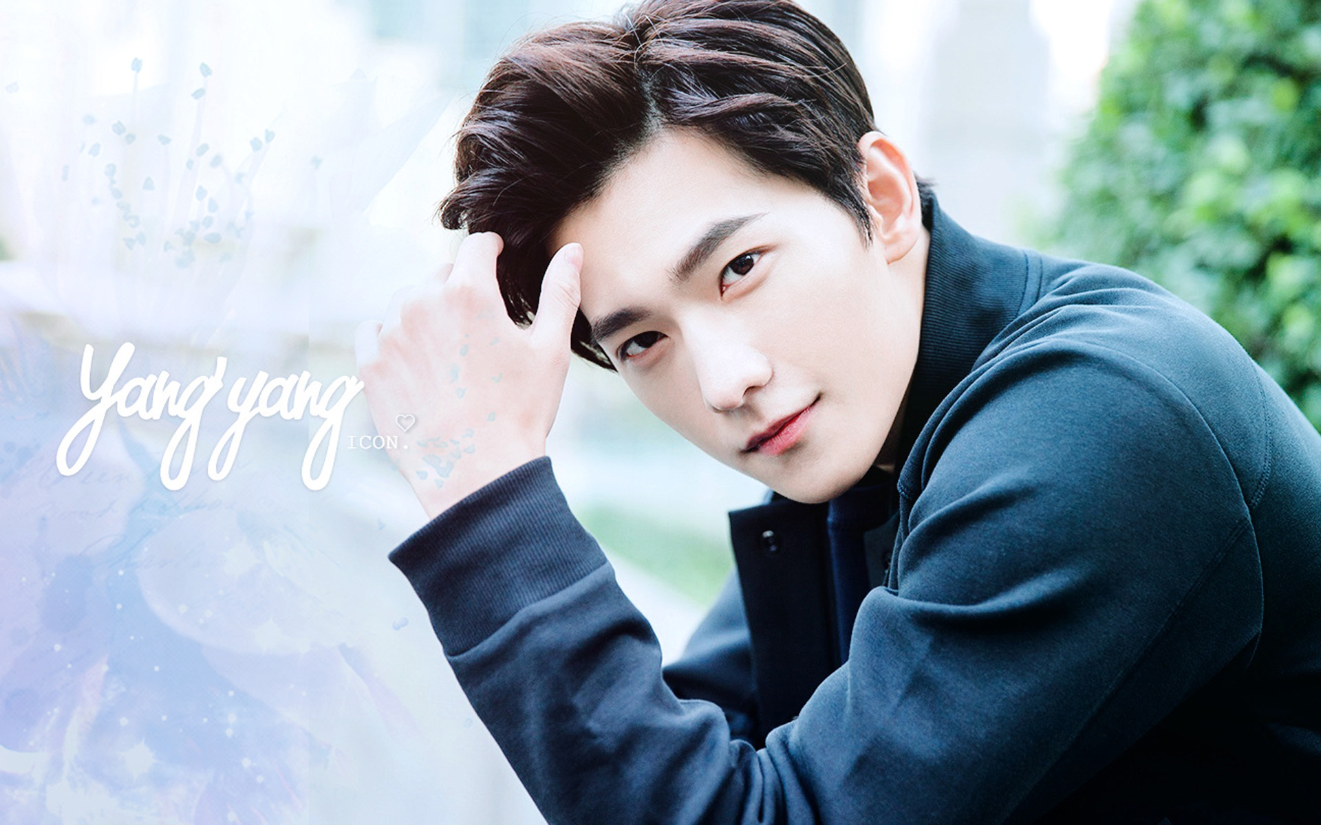 杨洋 演员 小鲜肉 帅哥 明星 宽屏