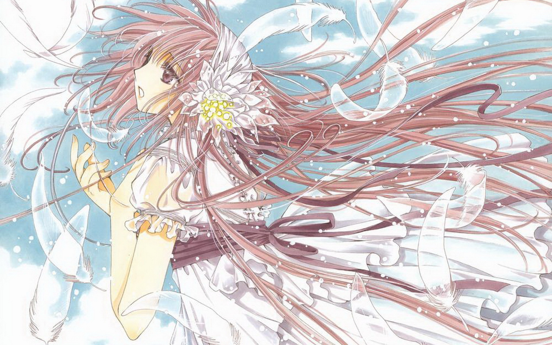 小鸠 萝莉 奇幻 爱情 搞笑 冒险 动漫