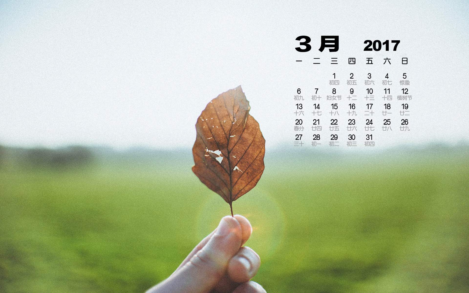 2017年3月 小清新 树叶