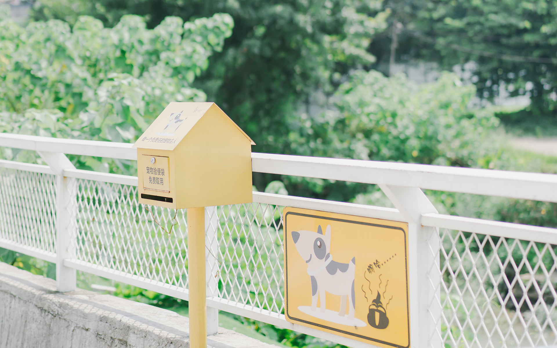 舒缓压力  炎炎夏日的路边