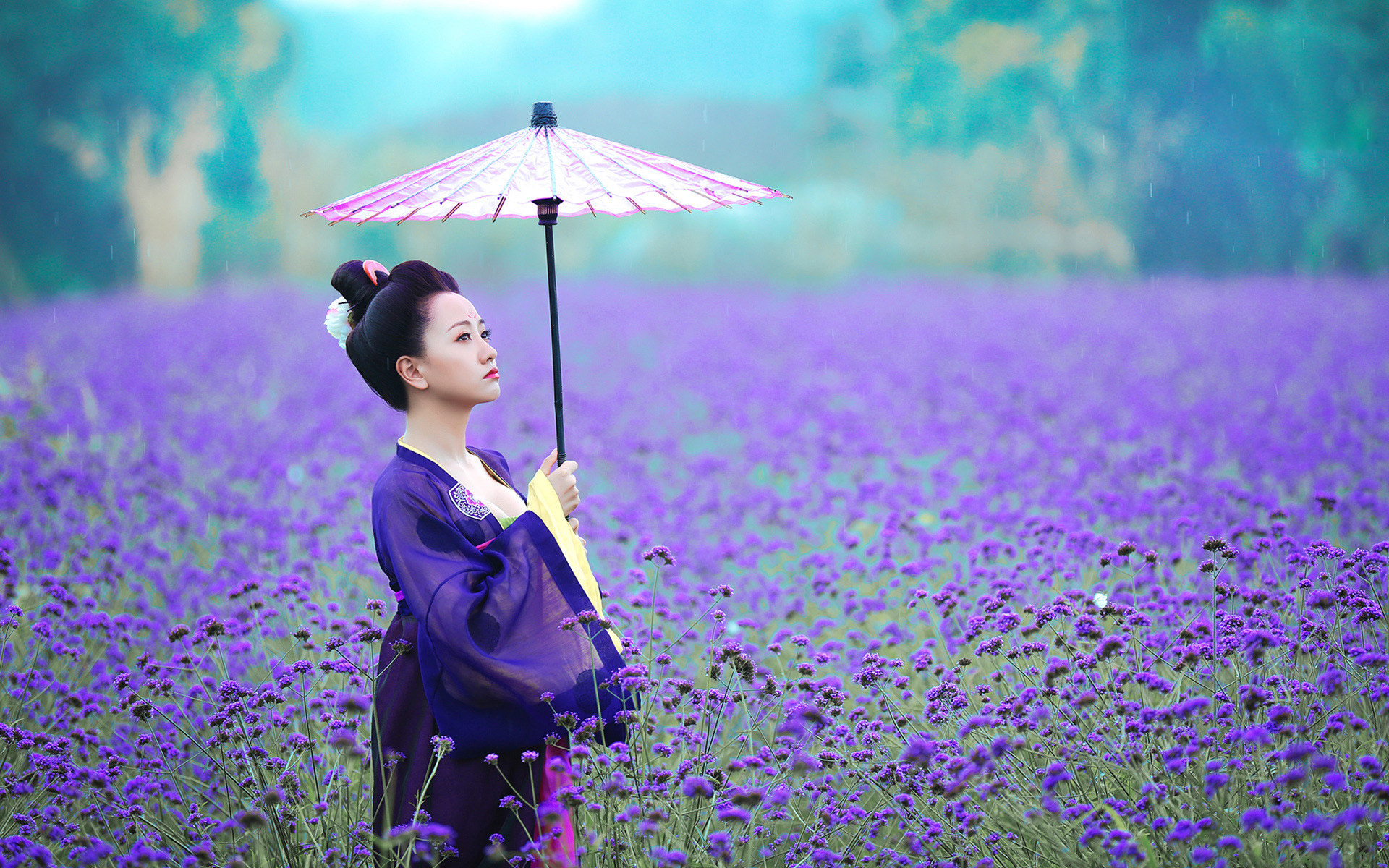 杨蓉 演员 美女 明星