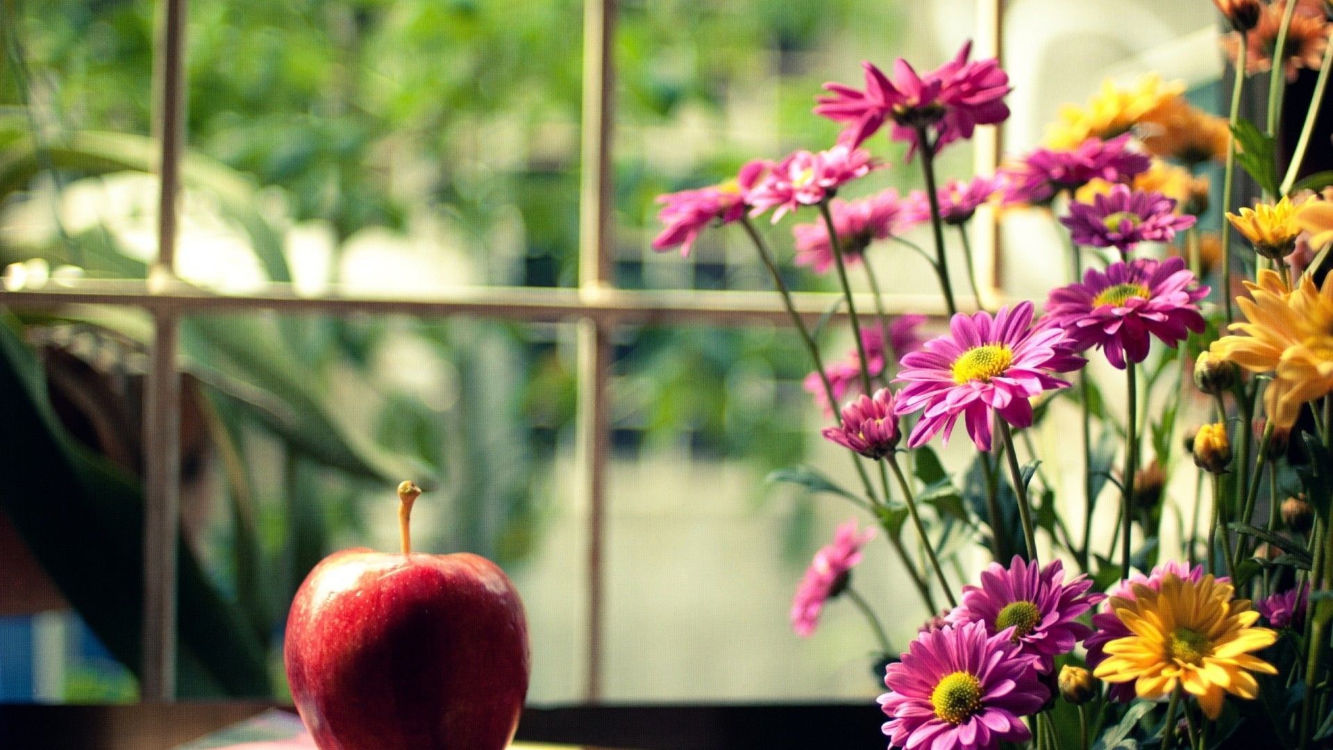 清新 苹果 小花