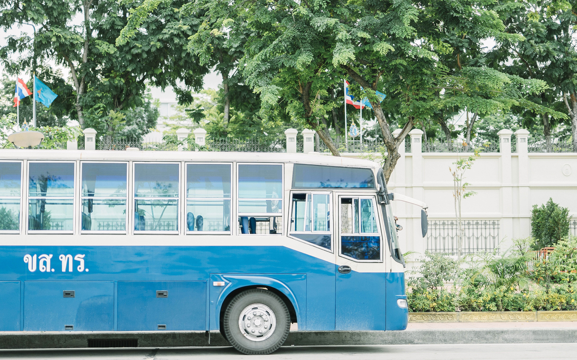 小清新 静物写真