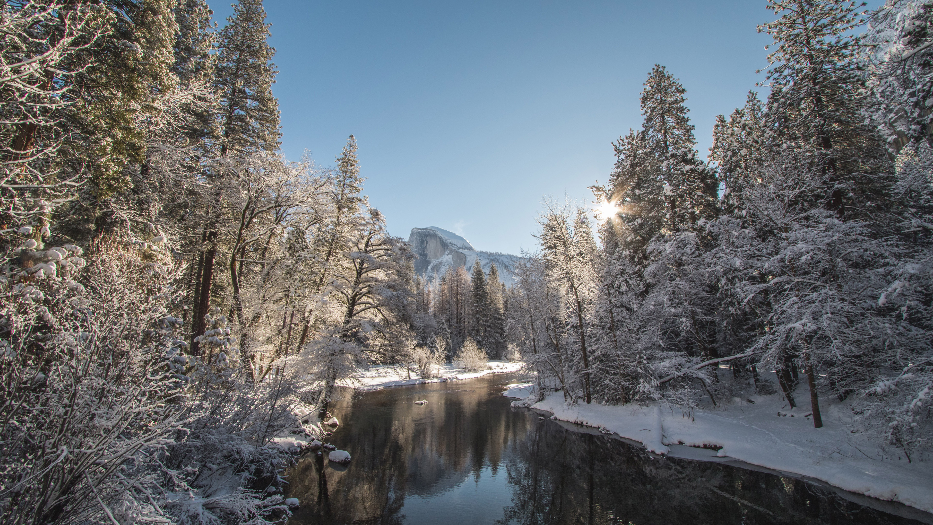 4K 风景 雪景 冬日暖阳 河流 森林