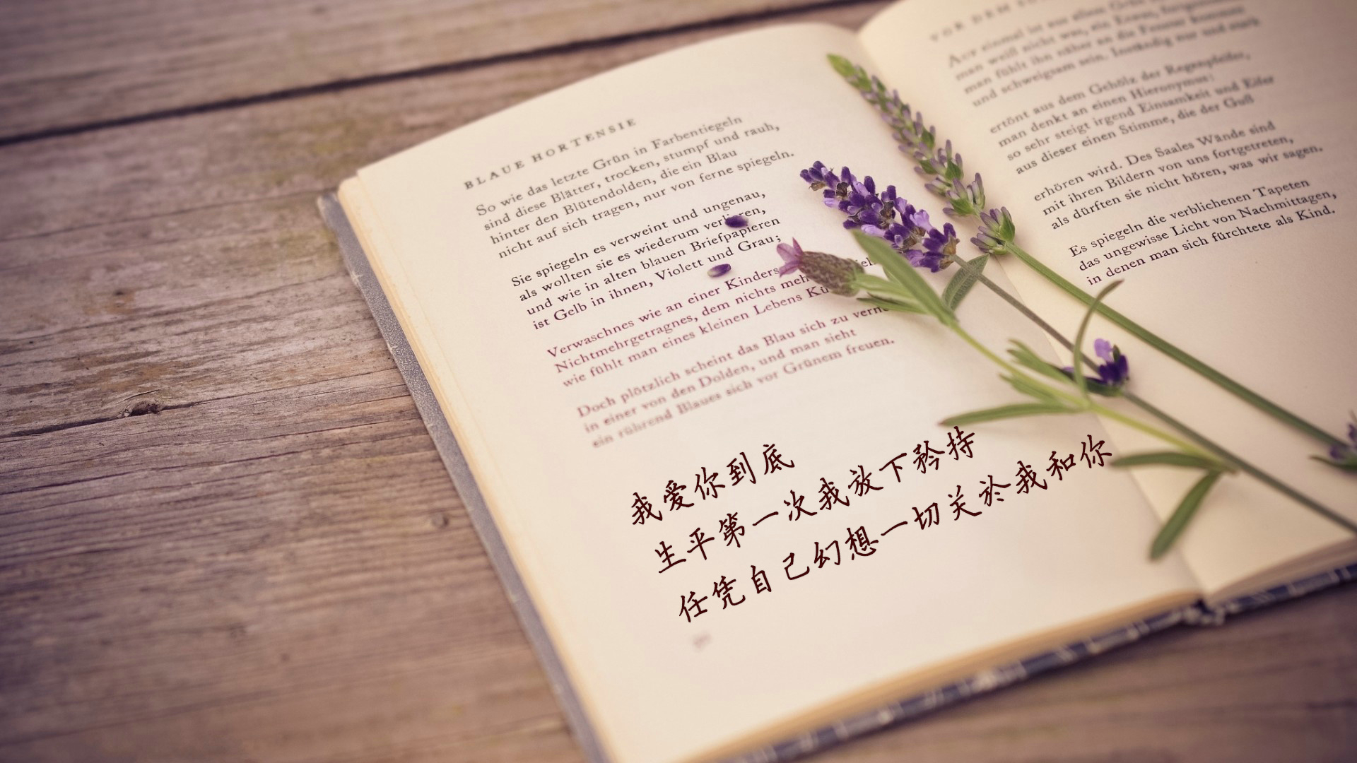 爱情 爱情箴言 温暖