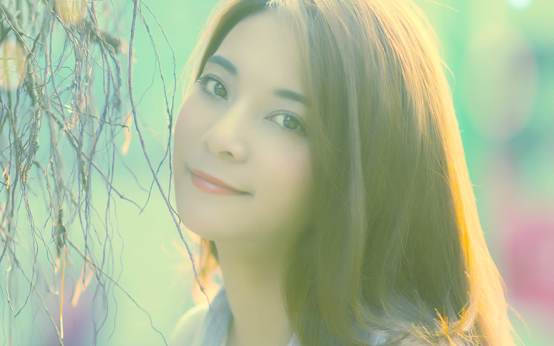 清纯 日系 治愈系 温暖