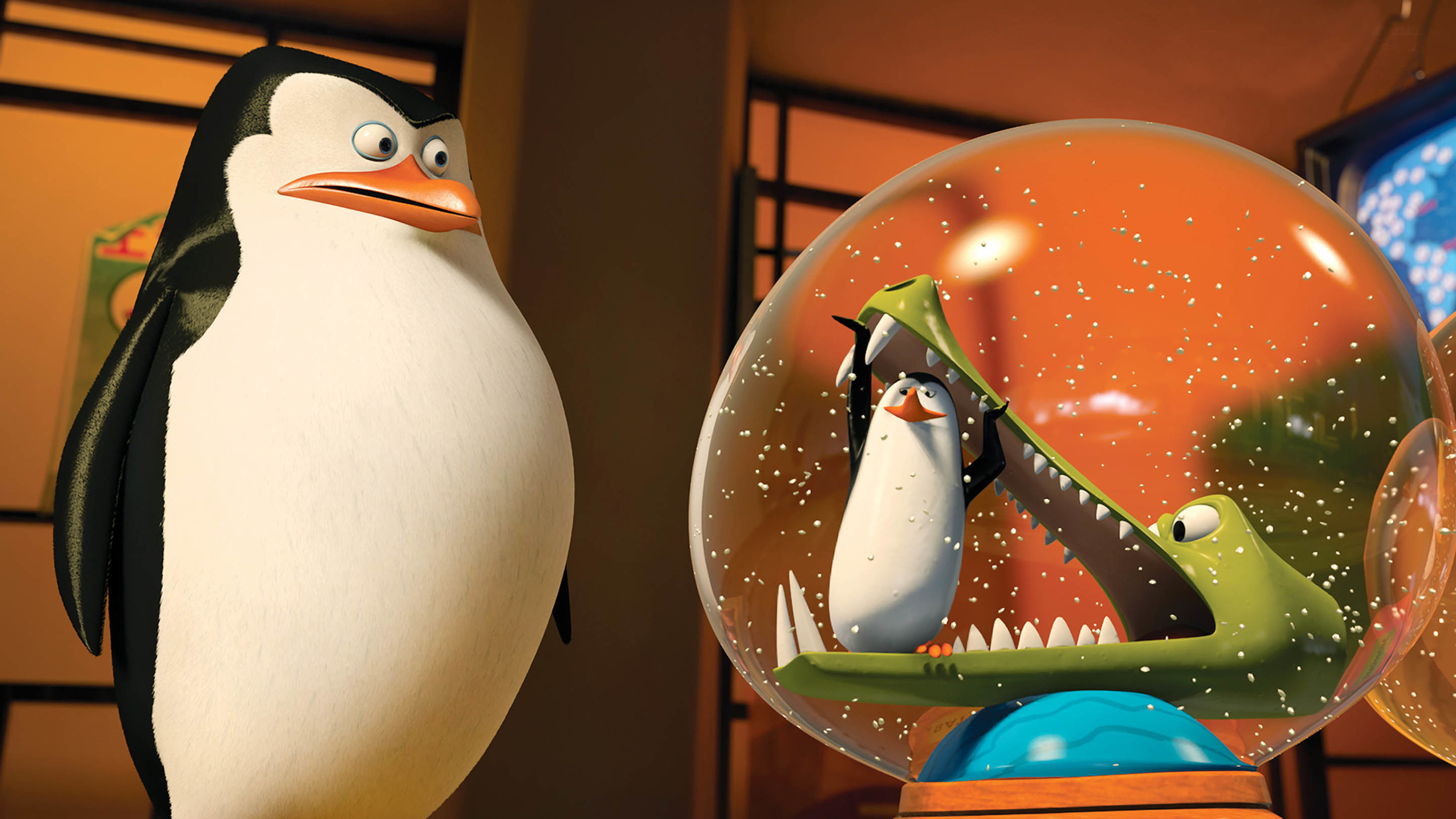 马达加斯加的企鹅