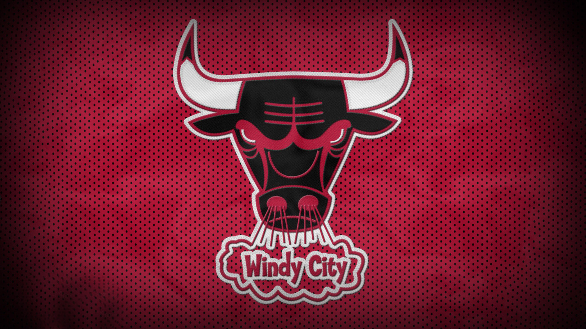 体育 篮球 公牛队