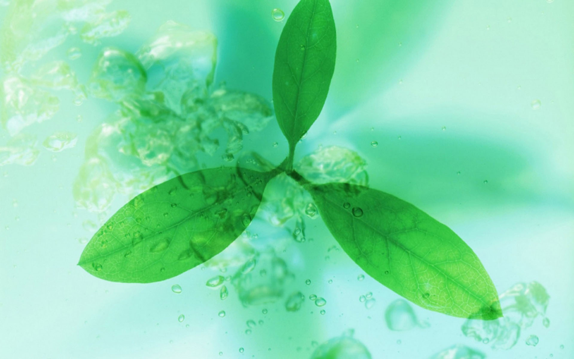 小清新 清新淡雅