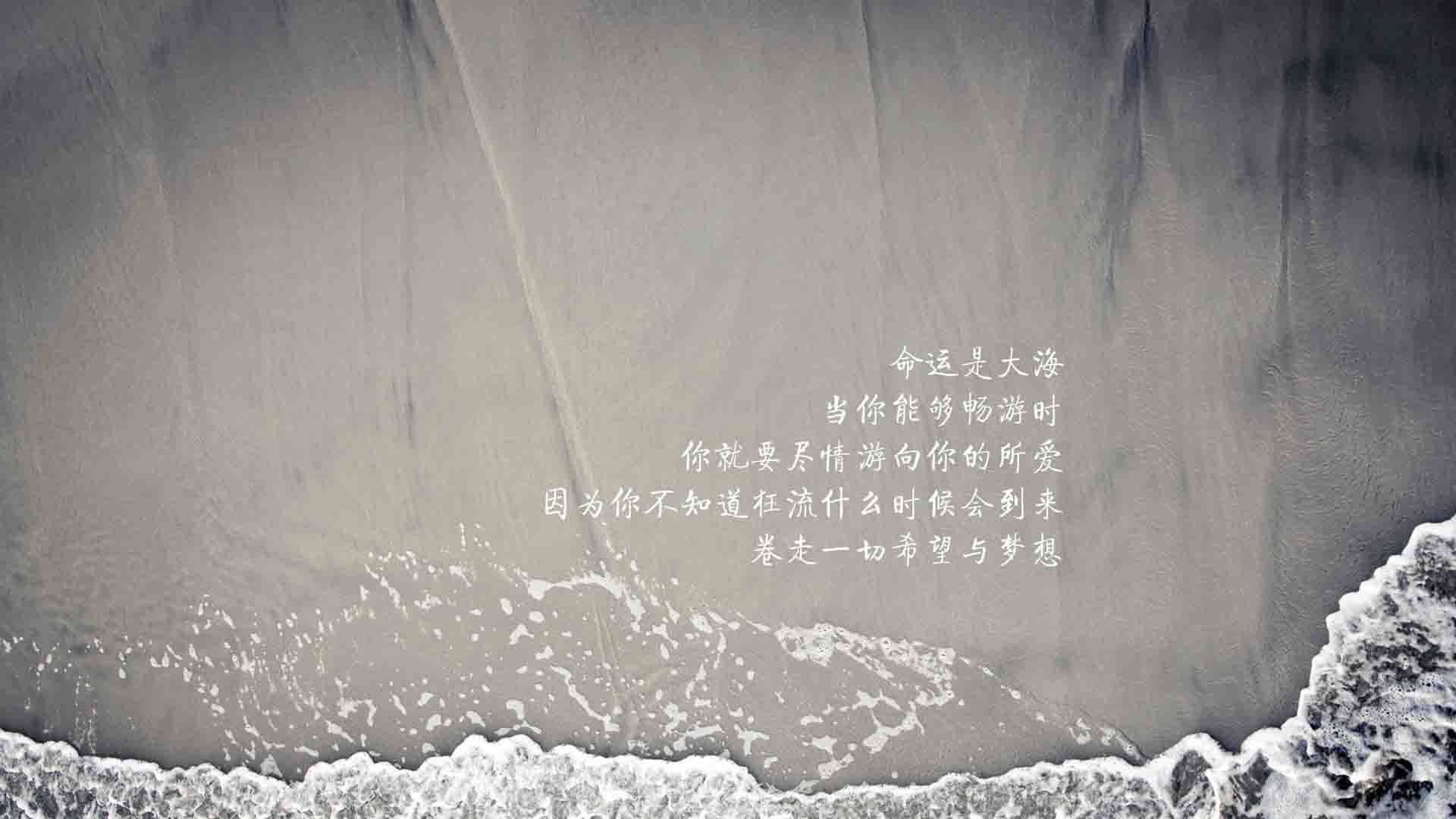 文字控  命运的大海