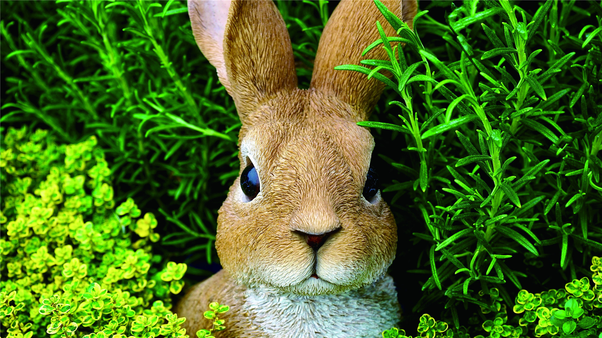 小清新 静物写真 兔子