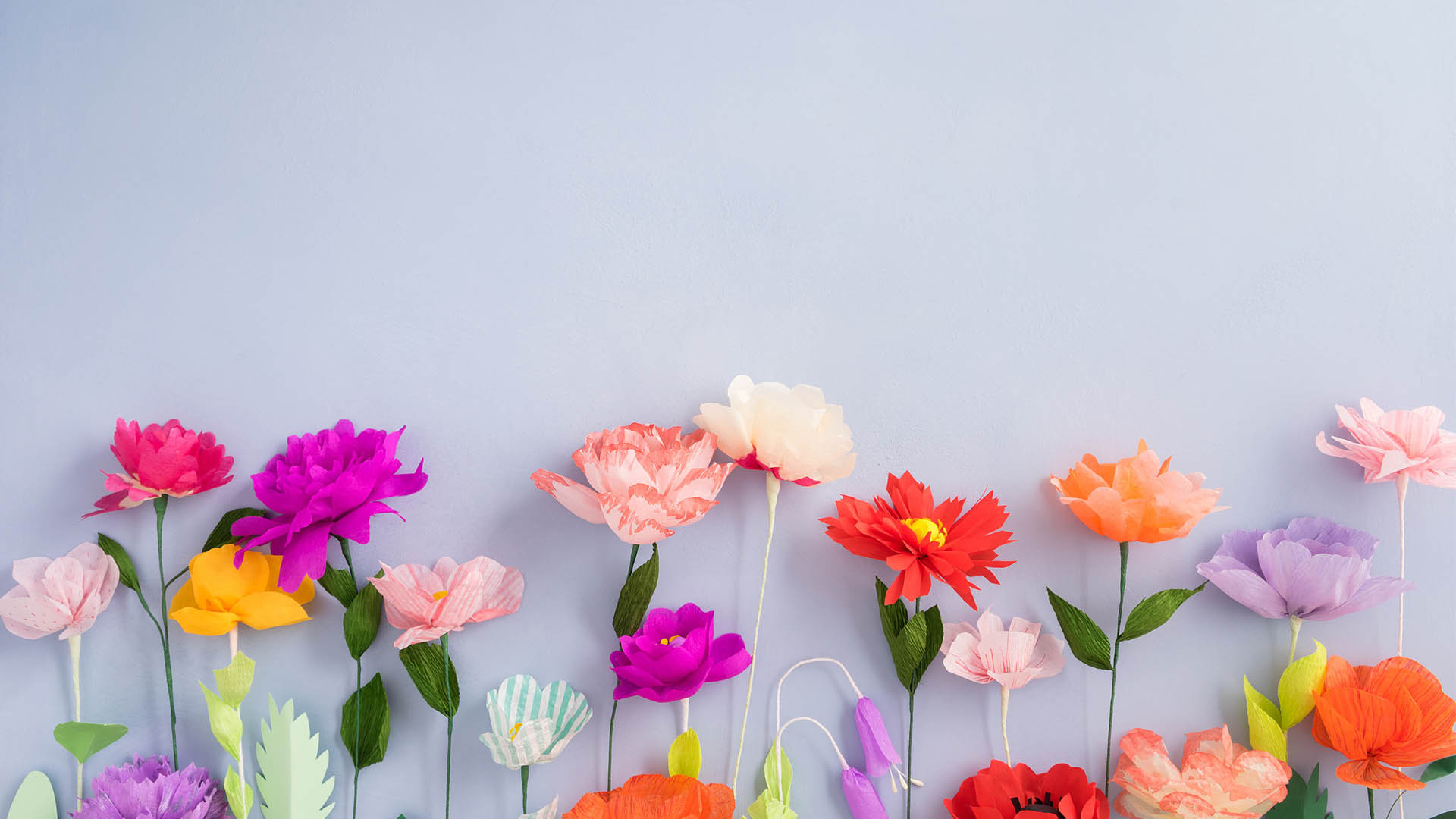 小清新 娇艳欲滴 花