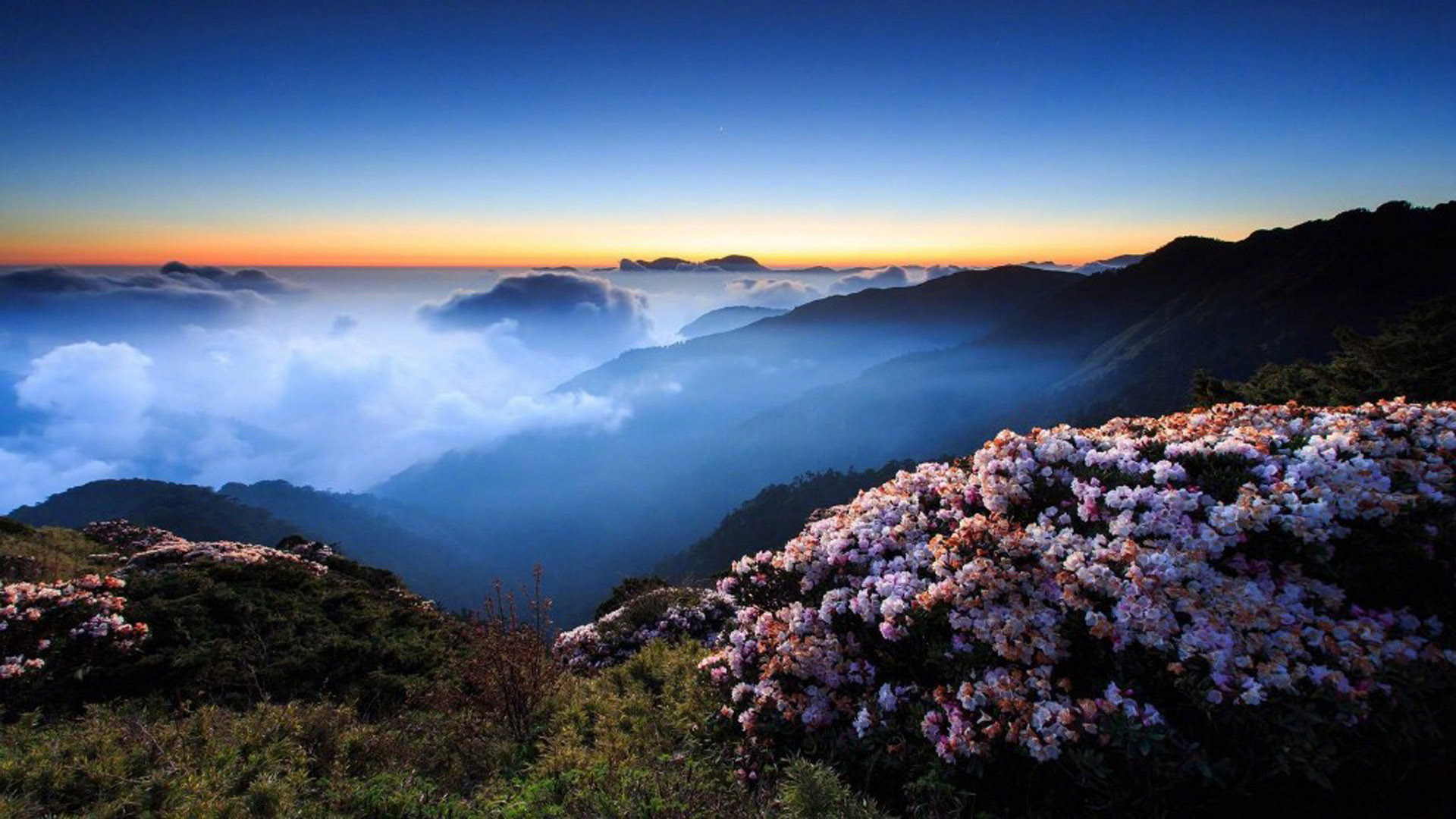 自然风光  山顶云雾 美景