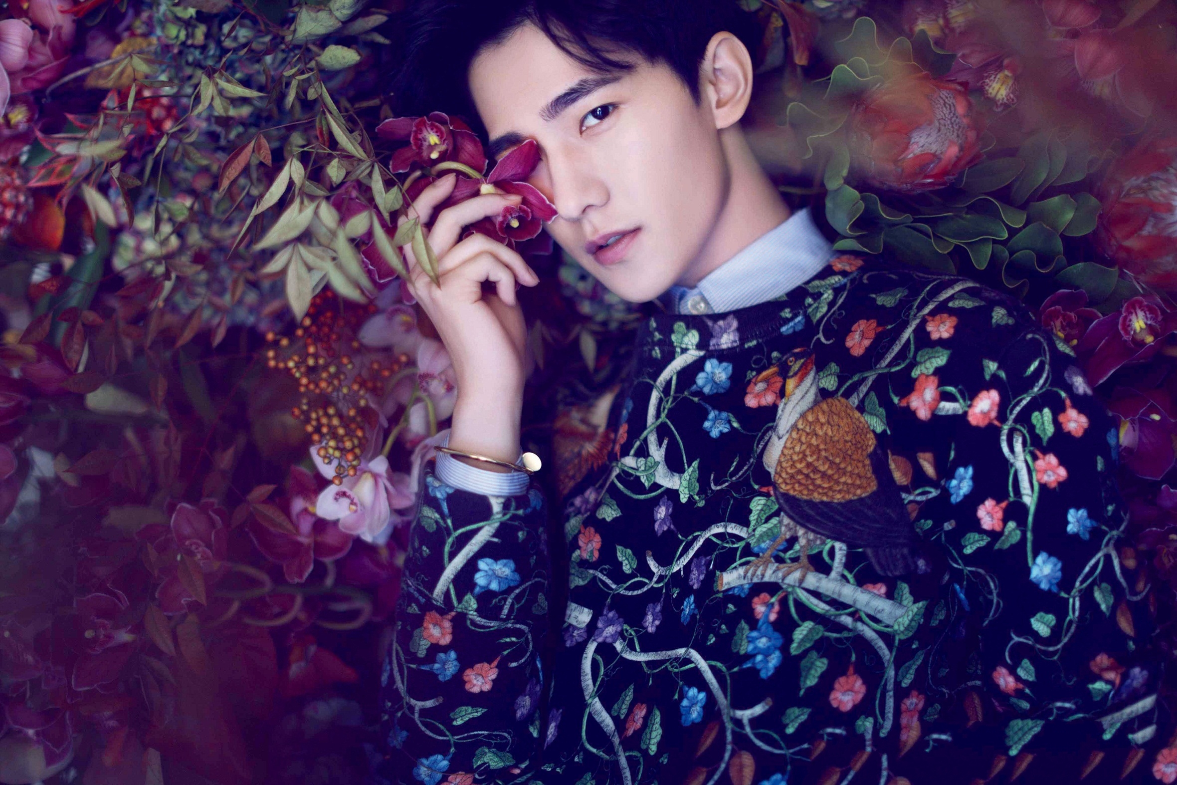 杨洋 帅哥 鲜花