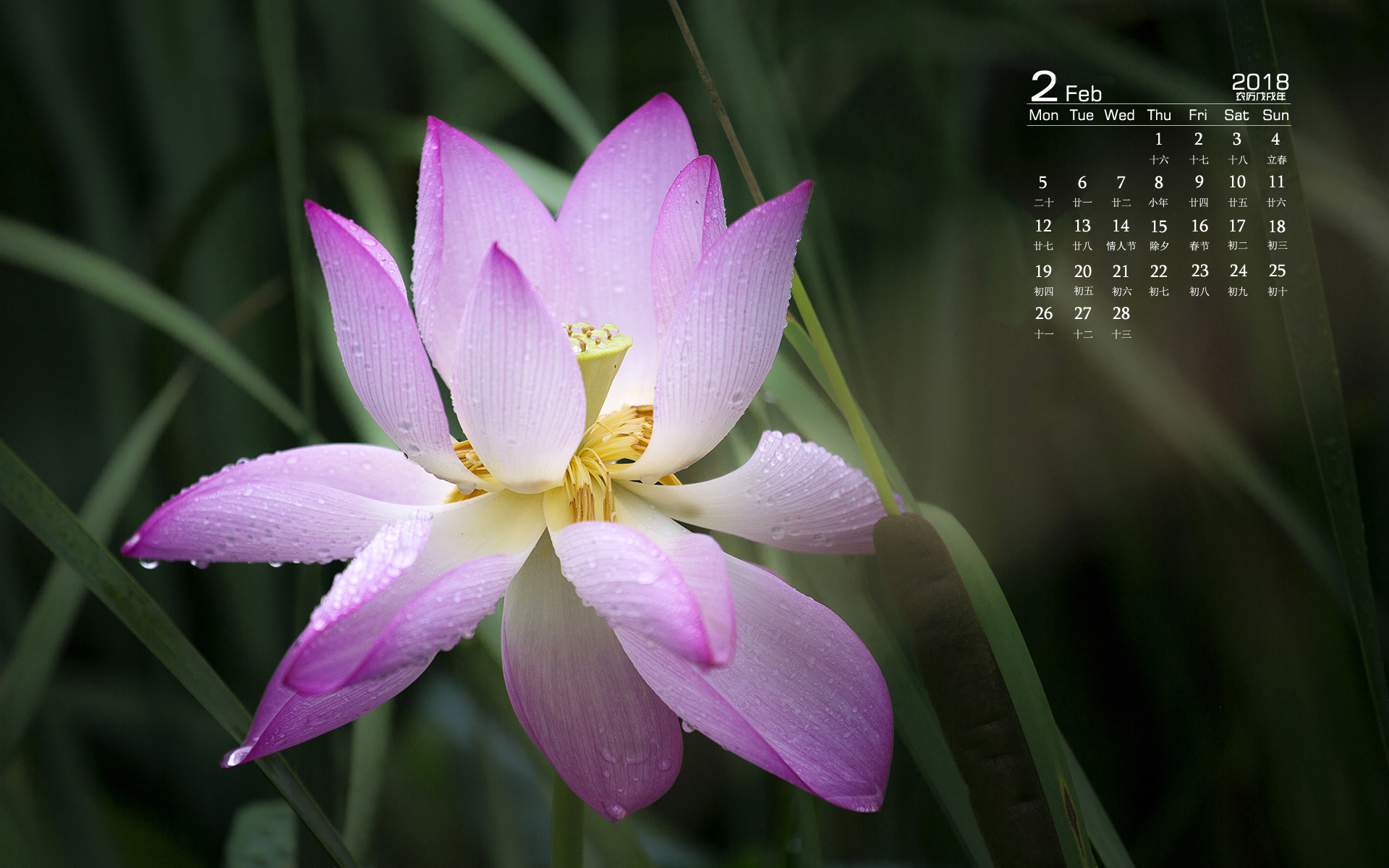 月历 2018年2月
