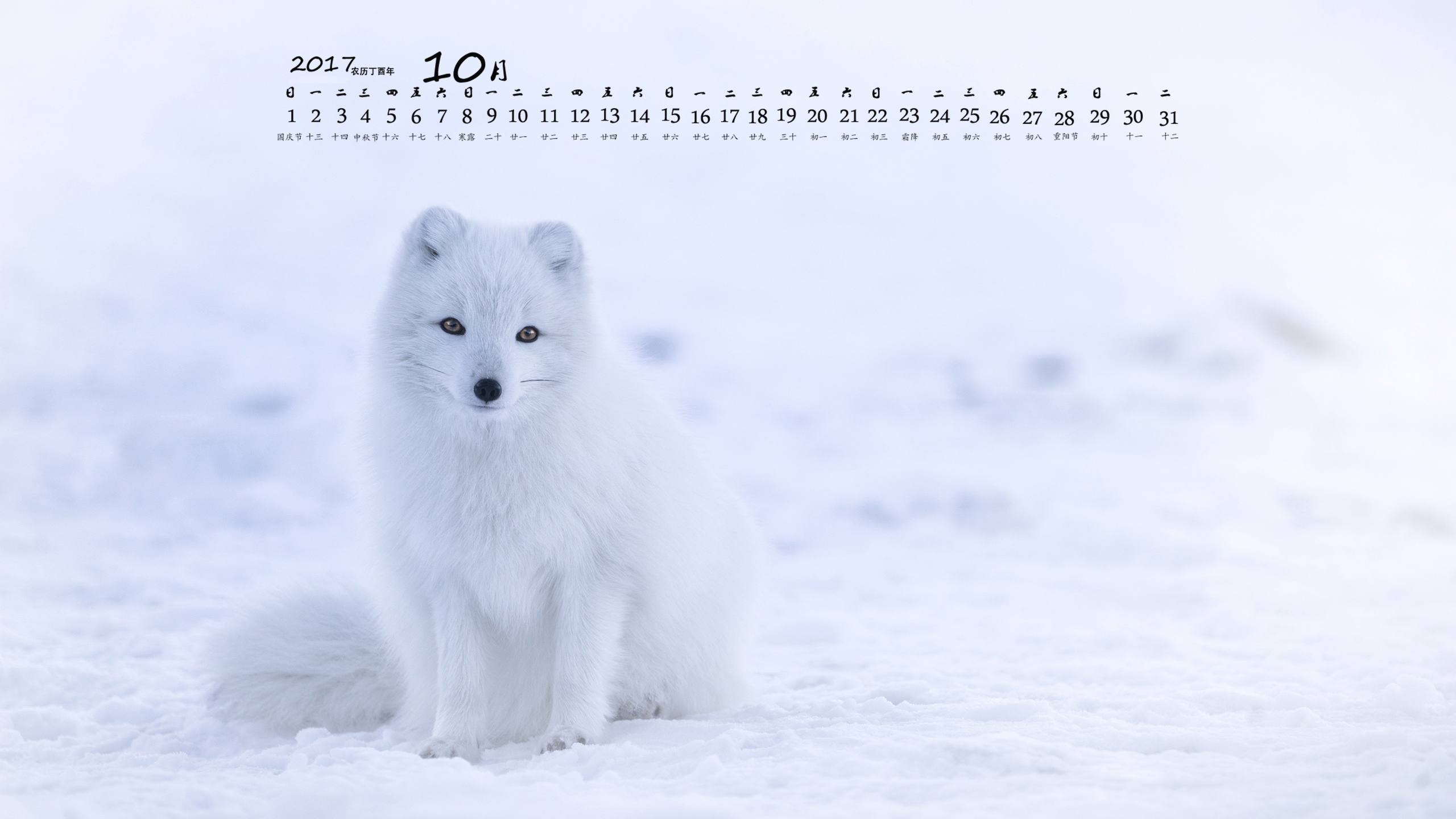 月历 2017年10月