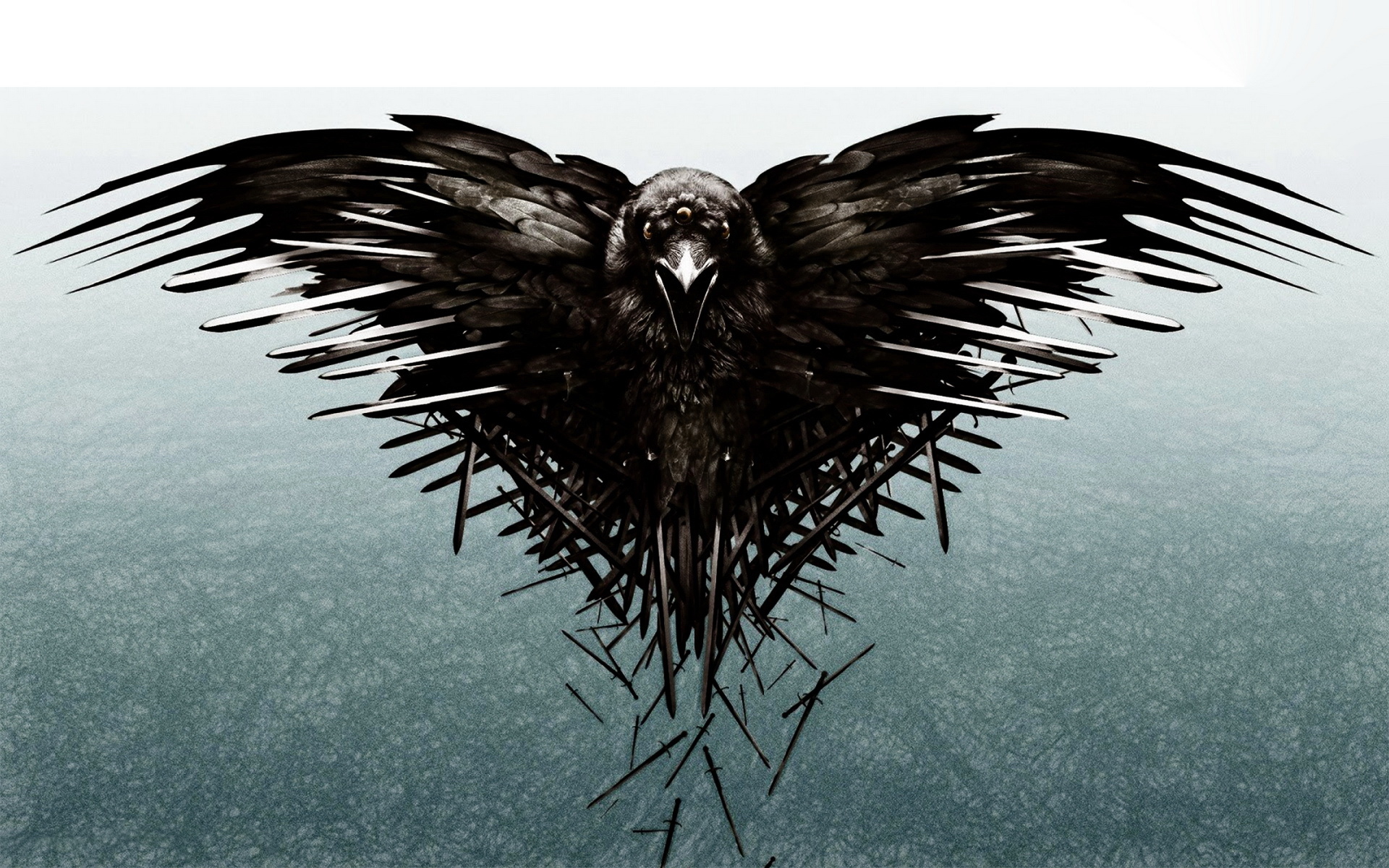 鹰 艺术 炫酷 震撼