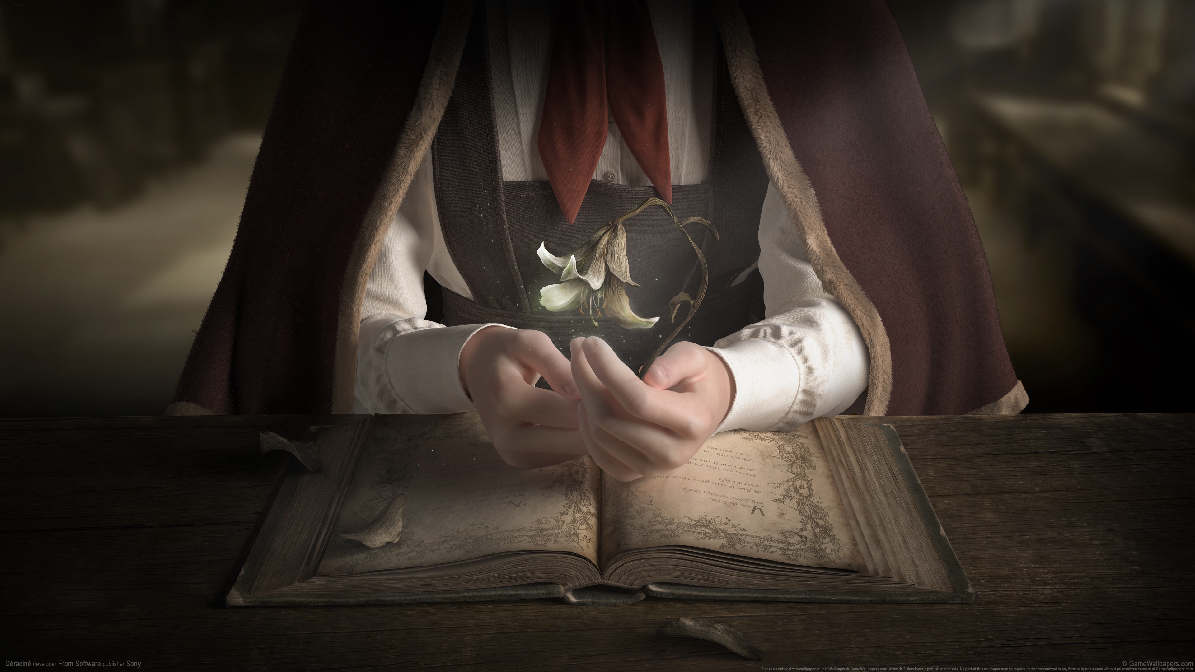 浪漫手绘  安静的书中人