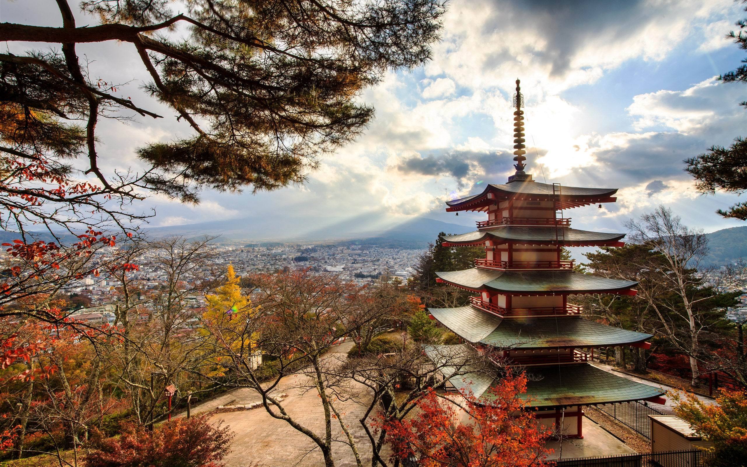 旅游胜地 日本 浅草寺