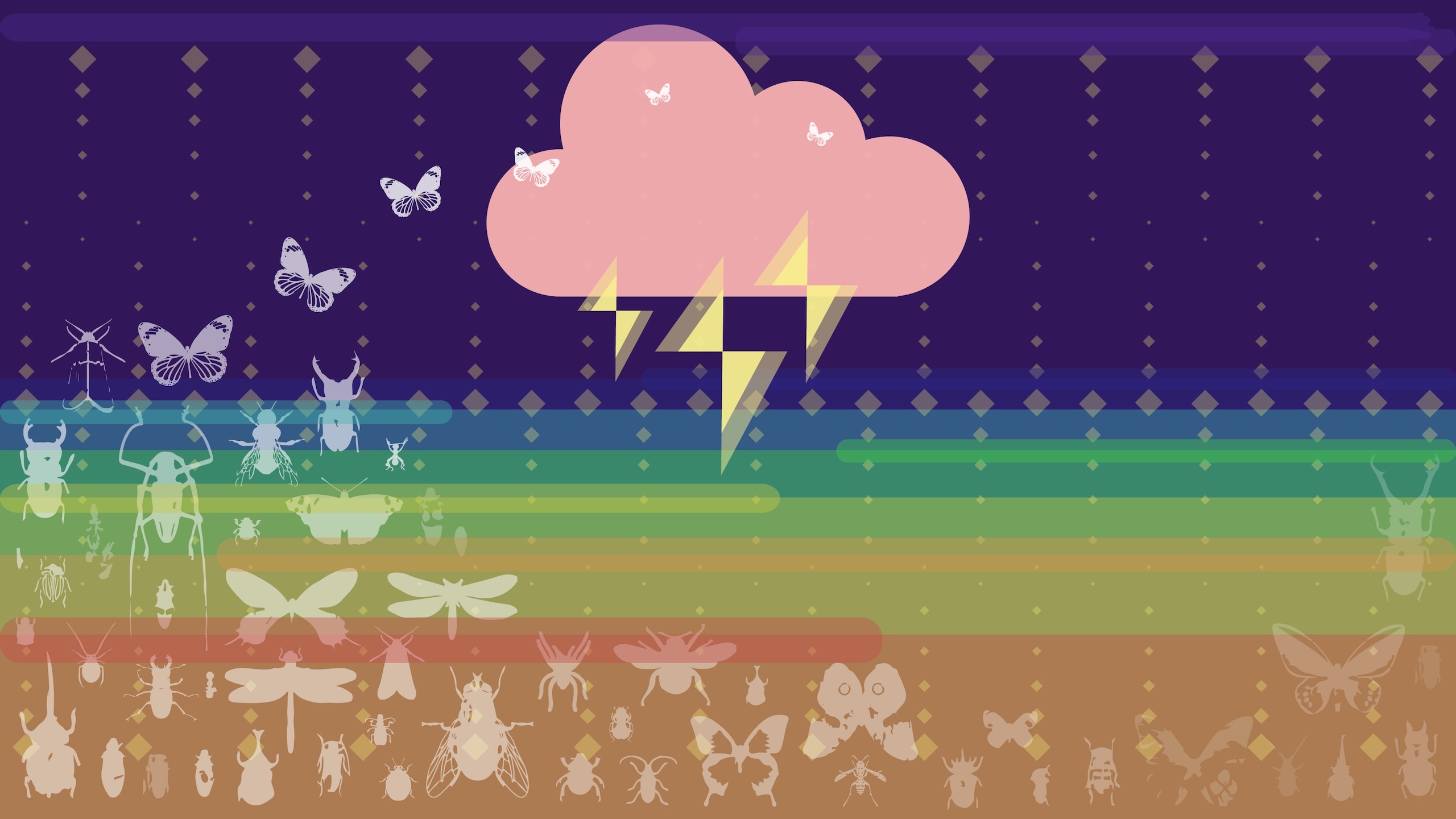 趣味 闪电 蝴蝶 昆虫