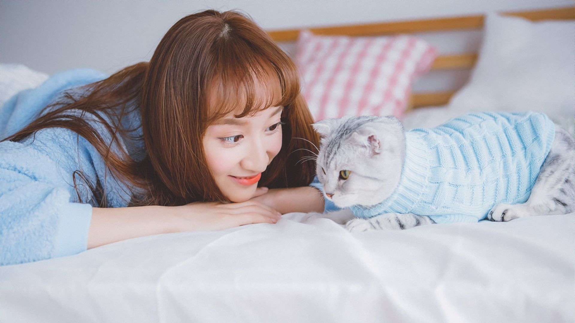 清纯 唯美 家居 猫咪 可爱