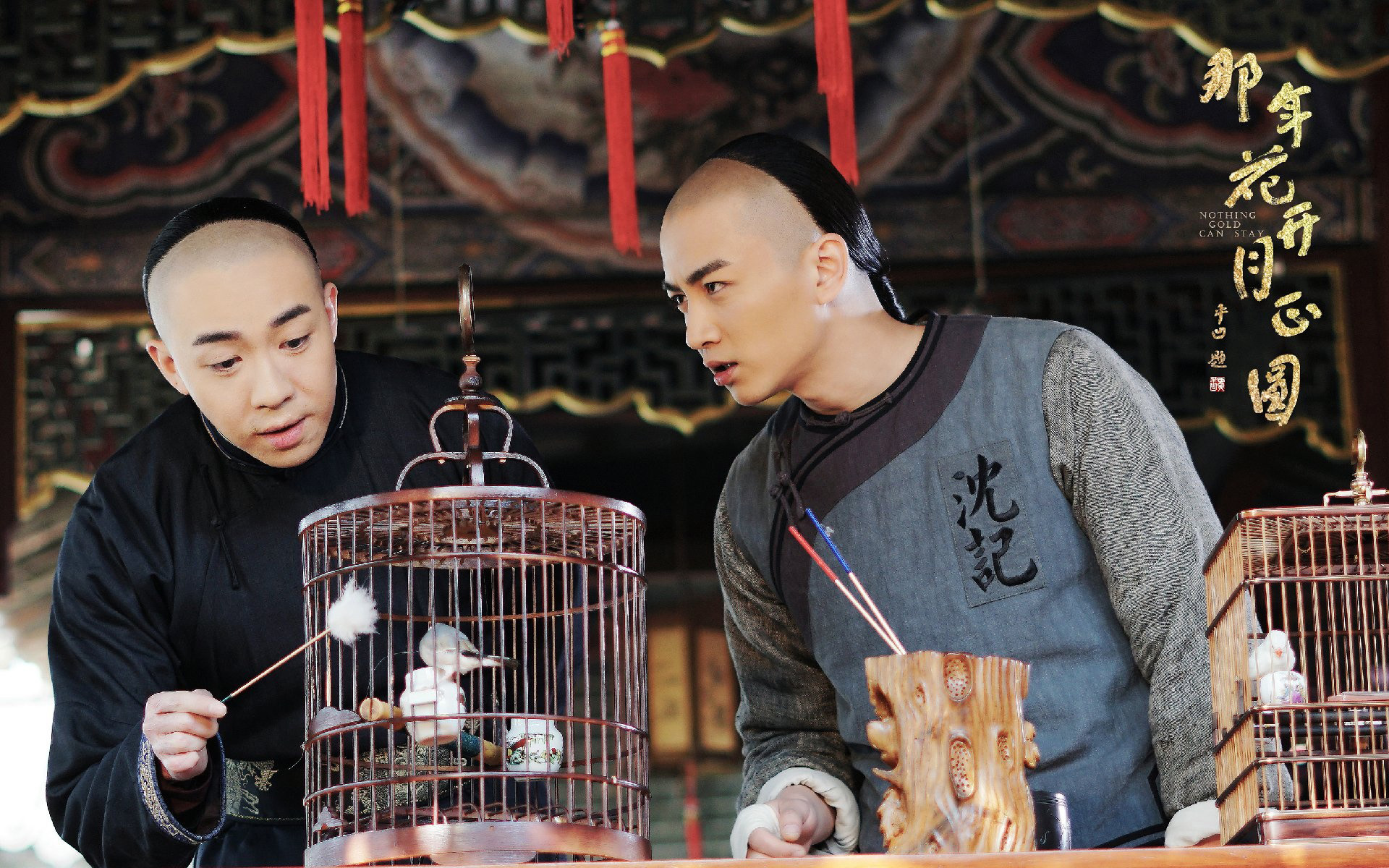 影视 电视剧 那年花开月正圆