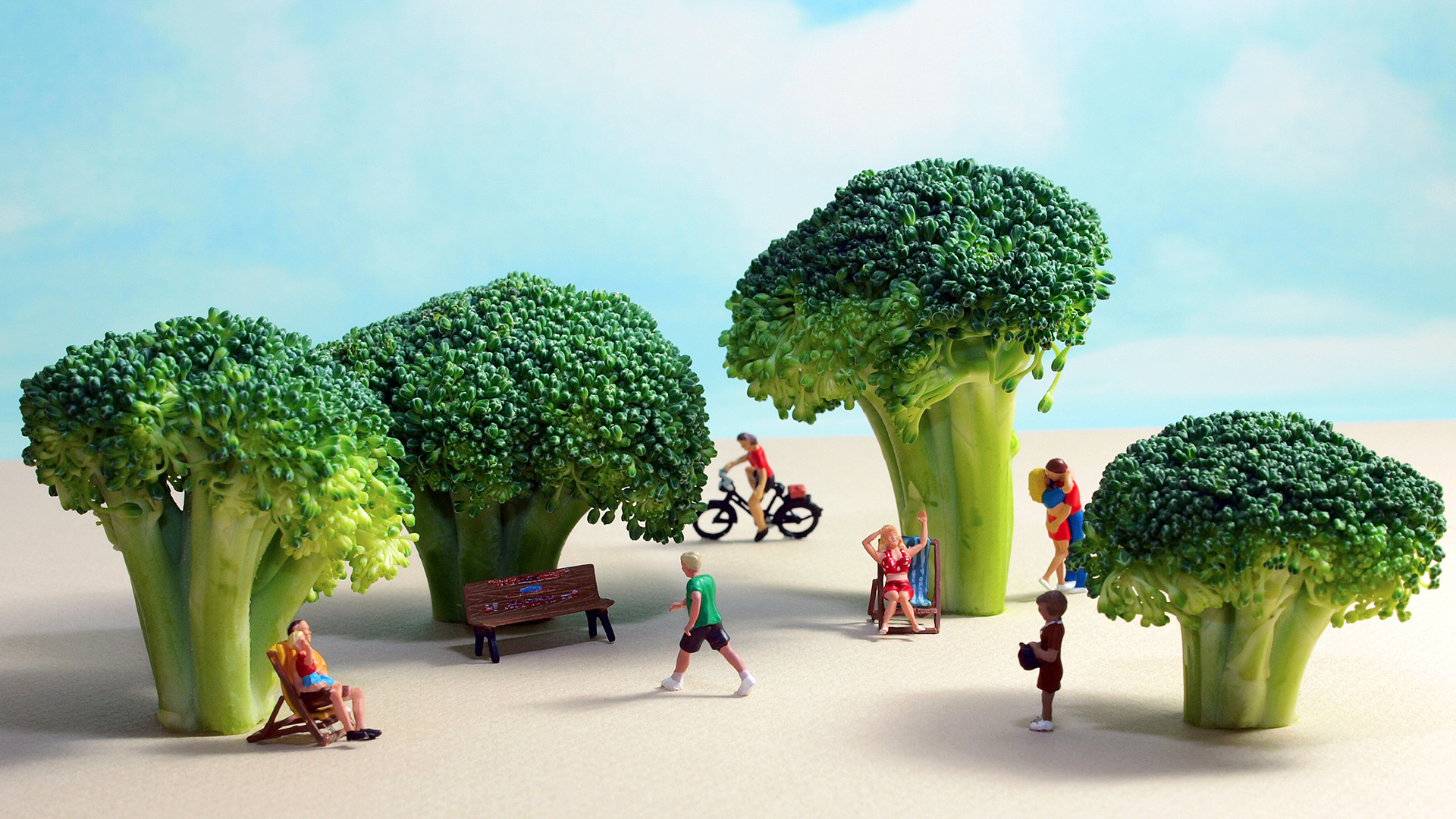 小清新 静物写真 西蓝花