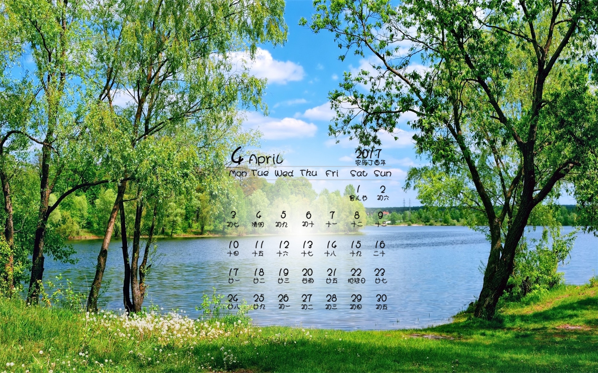 2017年4月 春天 绿色植物