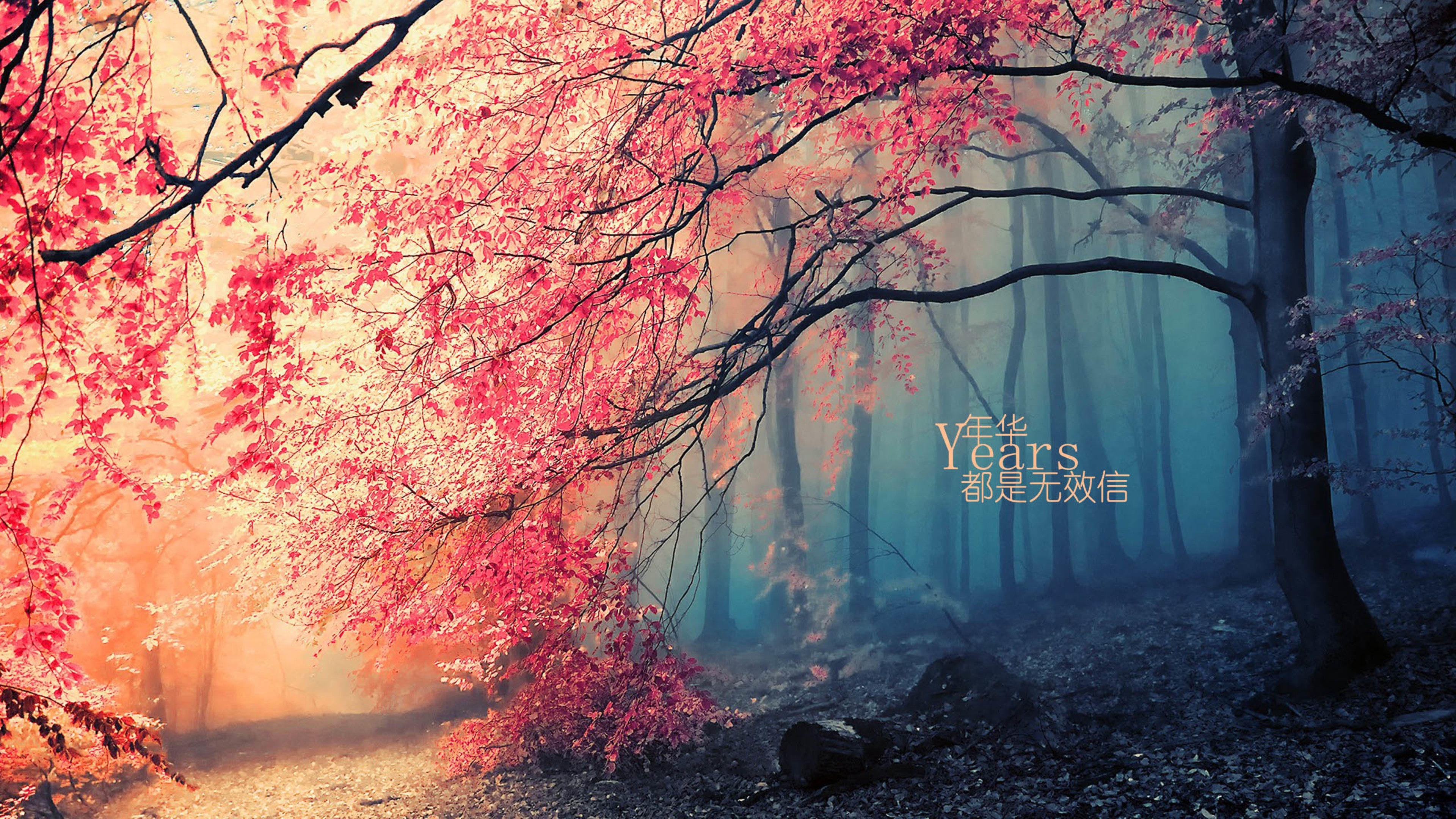 年华都是无效信 文字