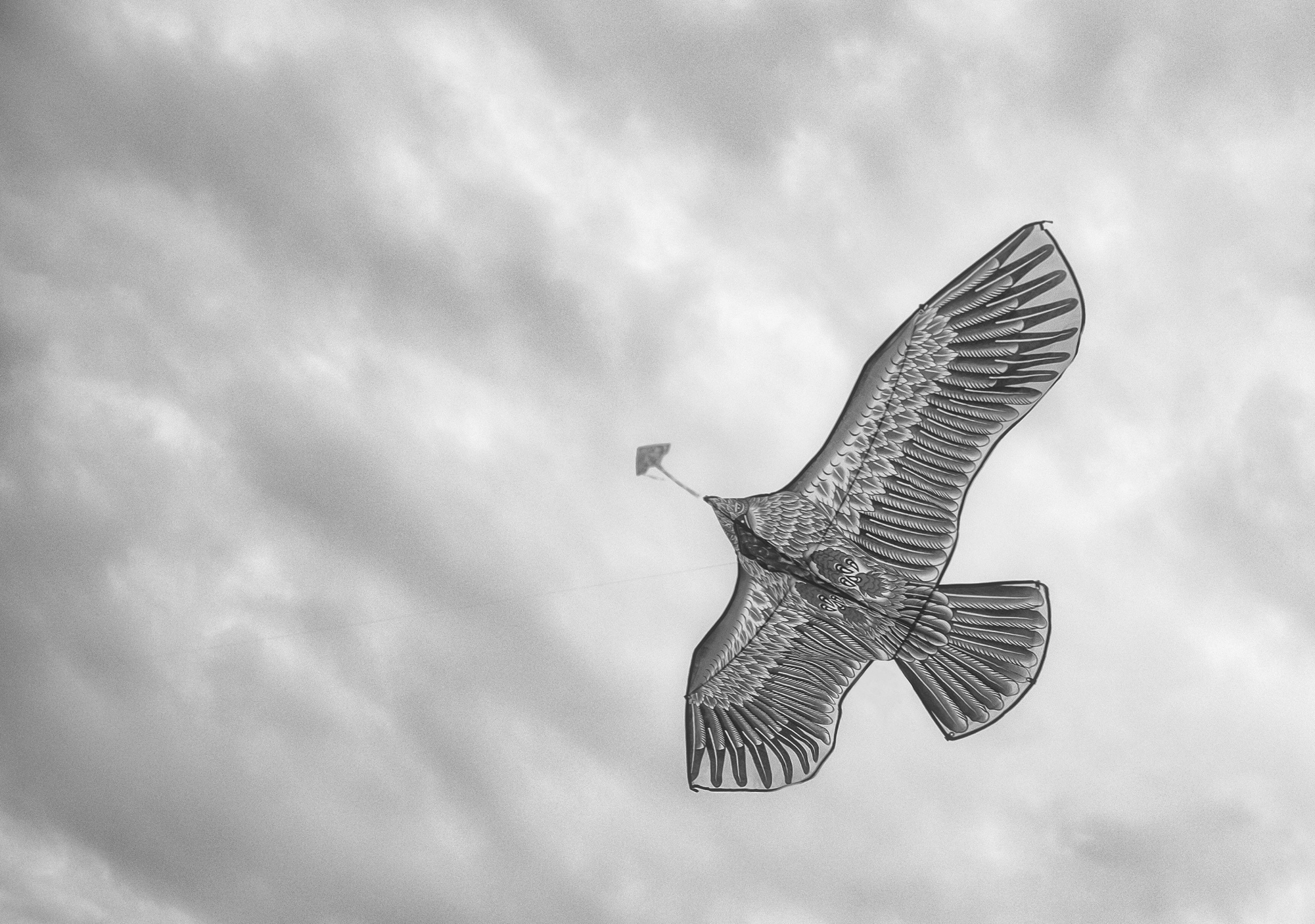 趣味 风筝 黑白