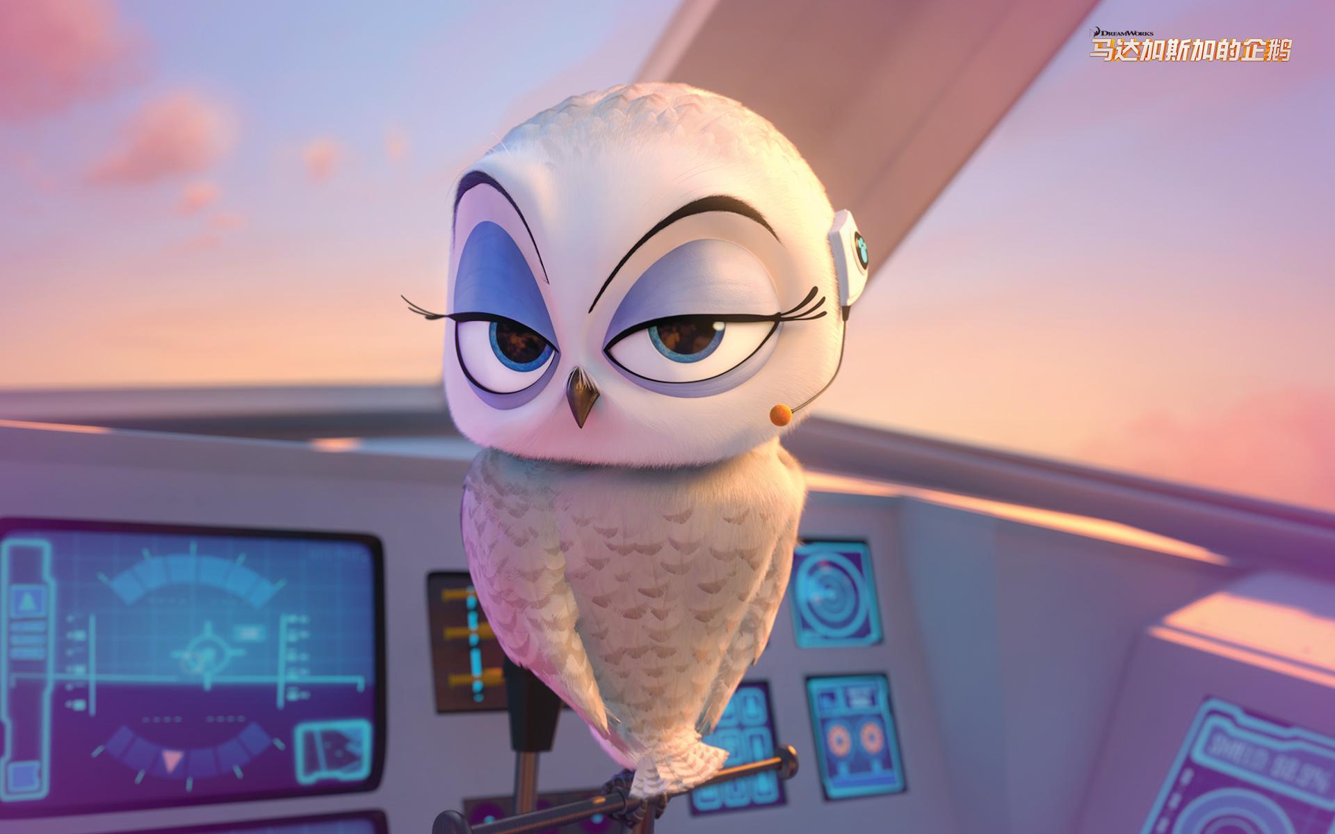 马达加斯加的企鹅 冒险 搞笑 企鹅 动漫