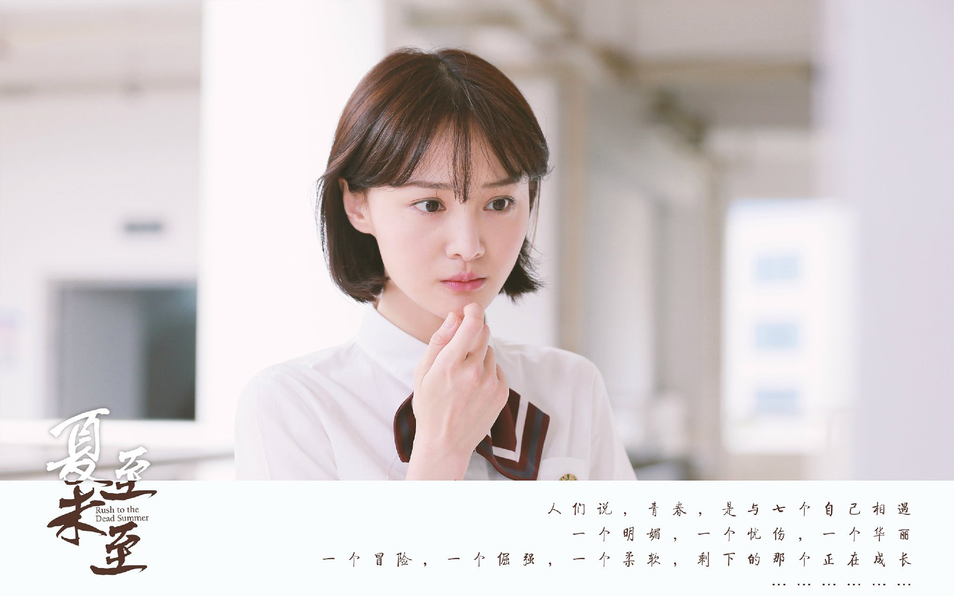 文字 夏至未至 爱情 郑爽