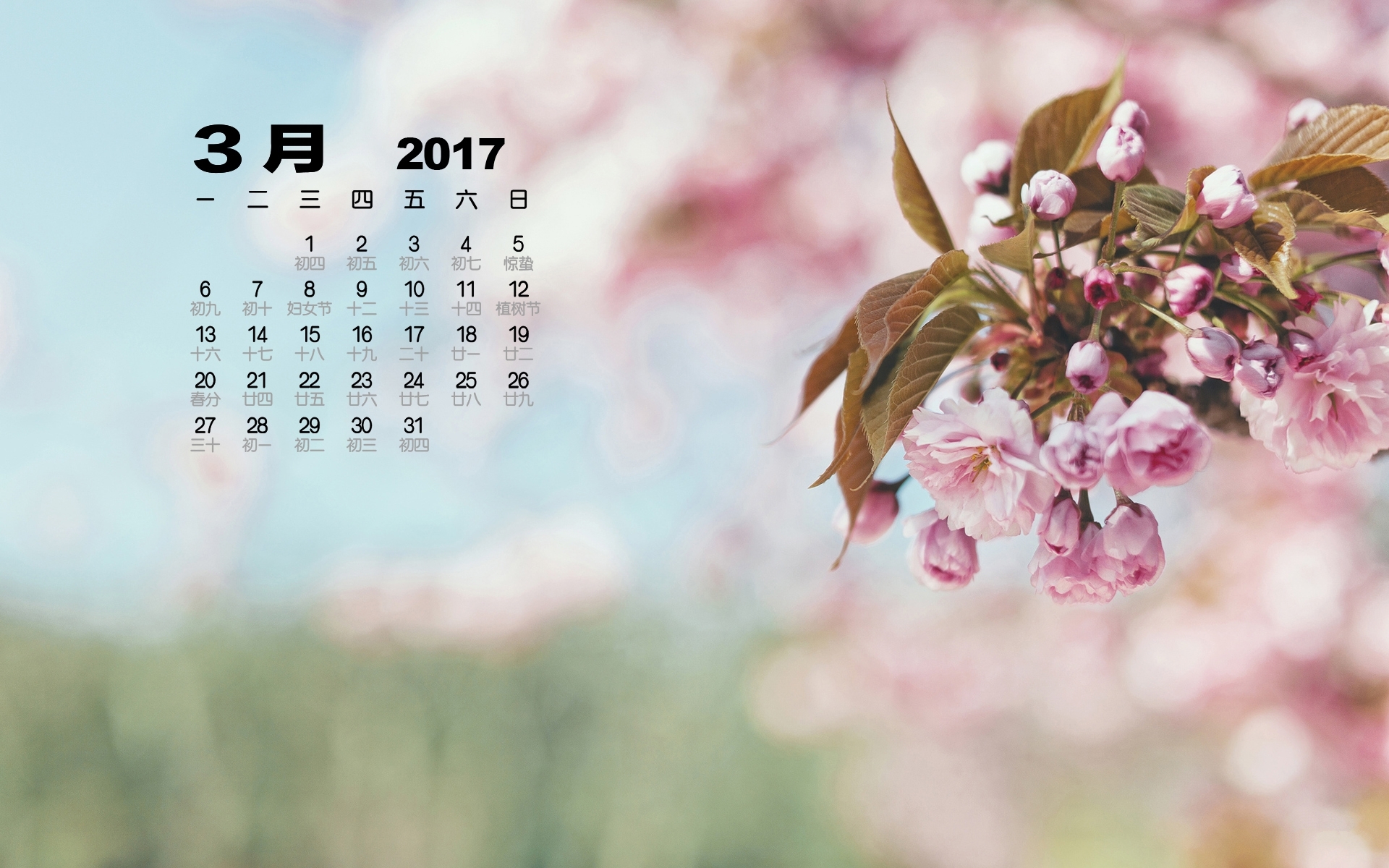 2017年3月 小清新 桃花