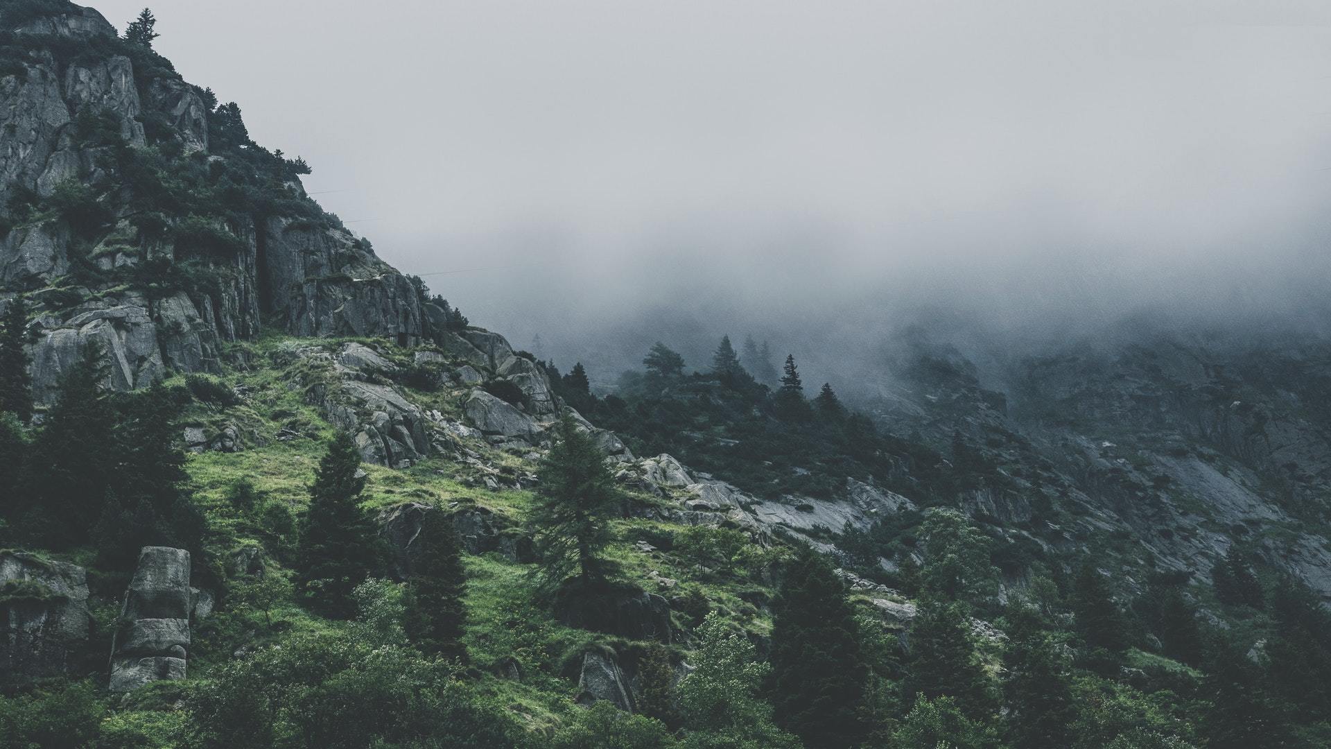 风景 云雾