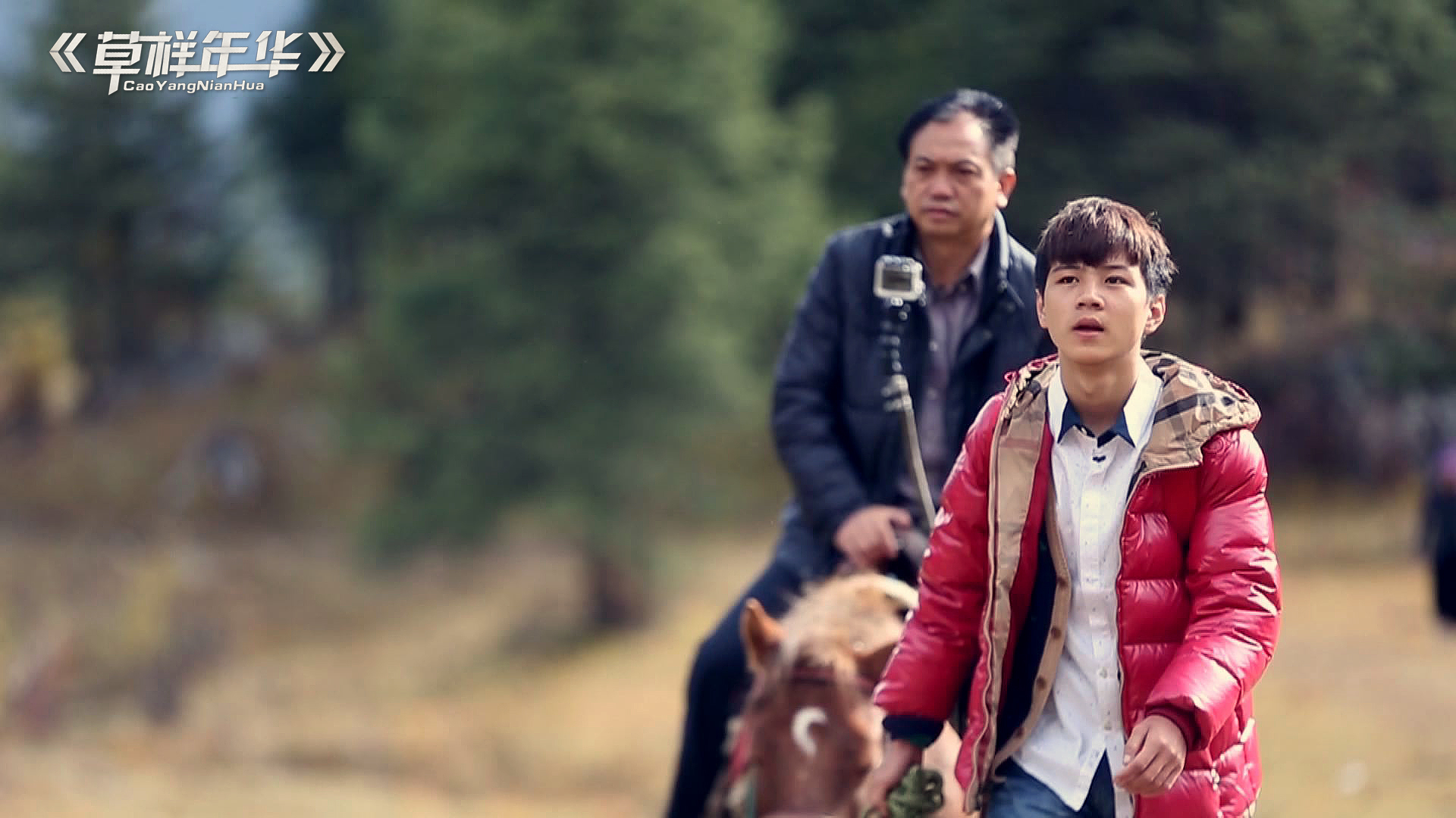 杨桐 草样年华 变形记