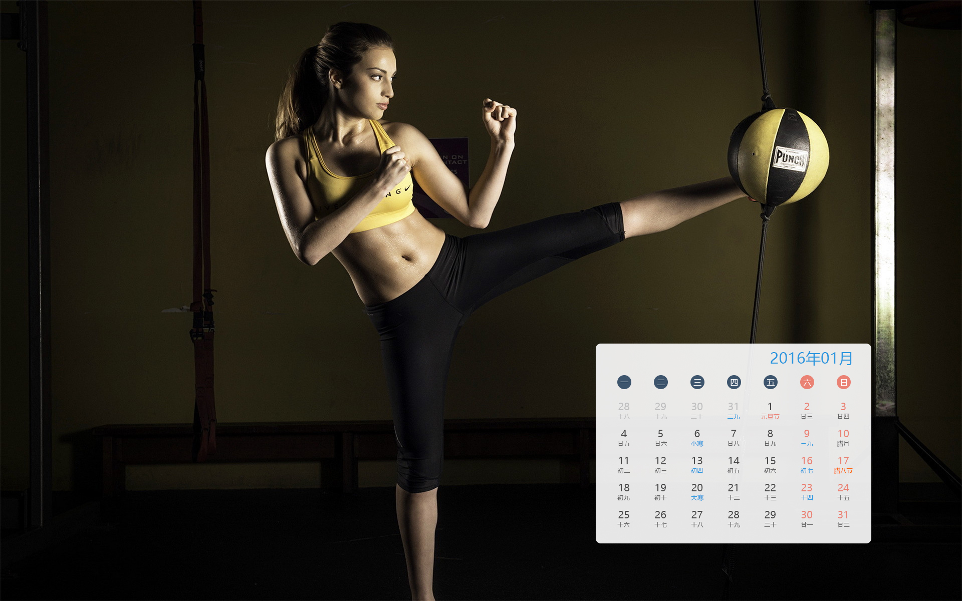 月历 一月 1月 搏击