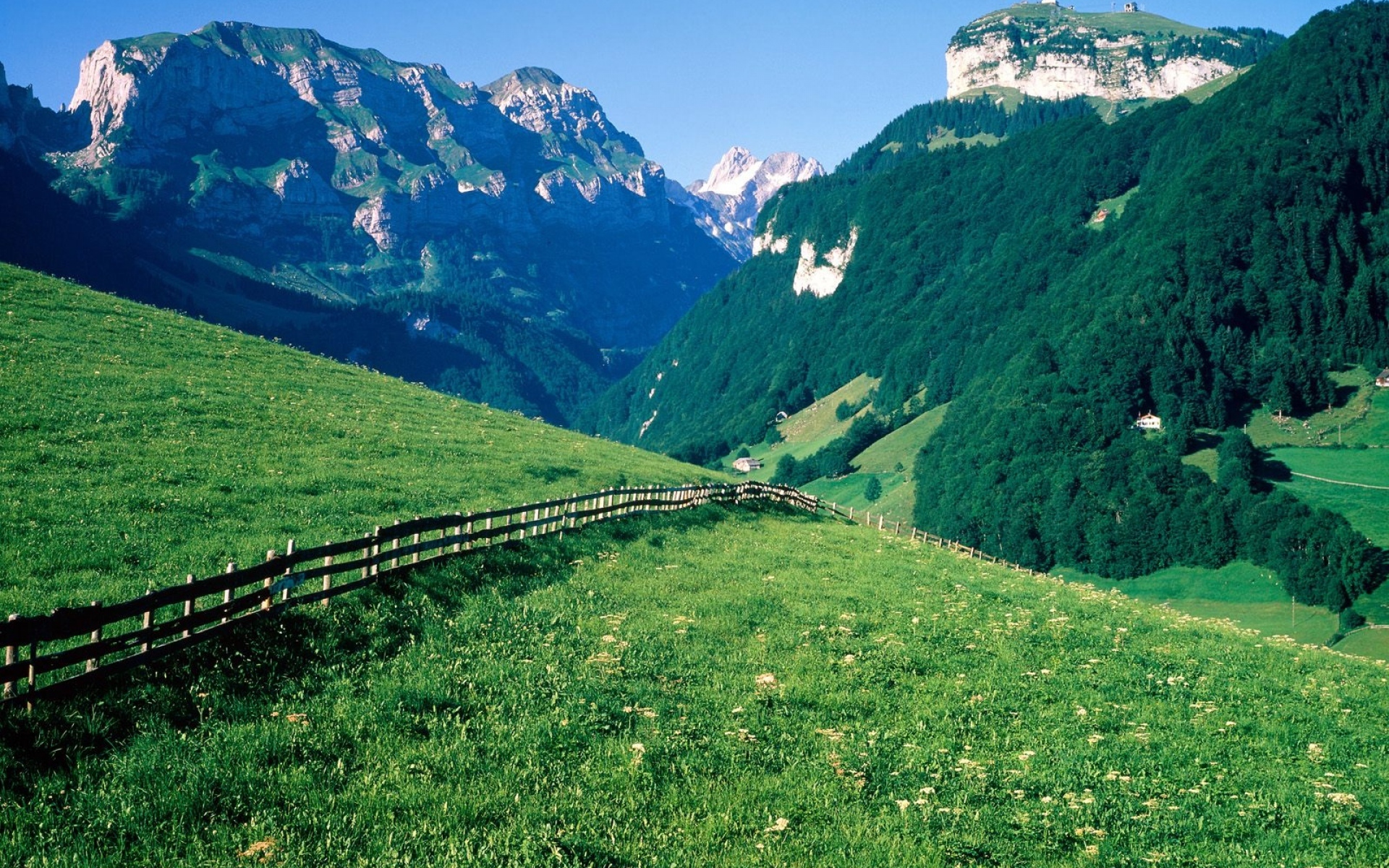 风景 春意盎然 草地 山川