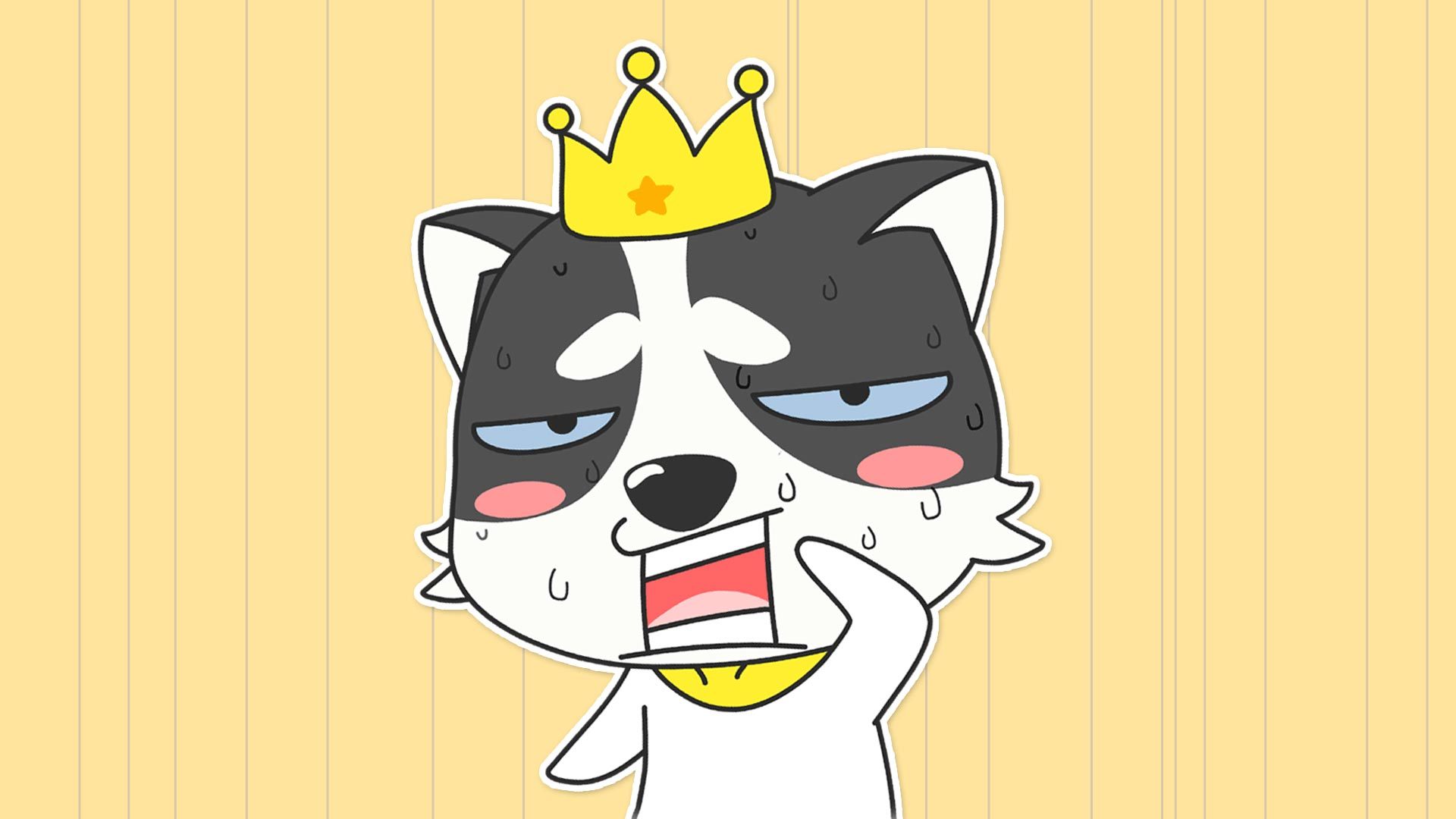 动漫 狗 哈士奇 萌 贱