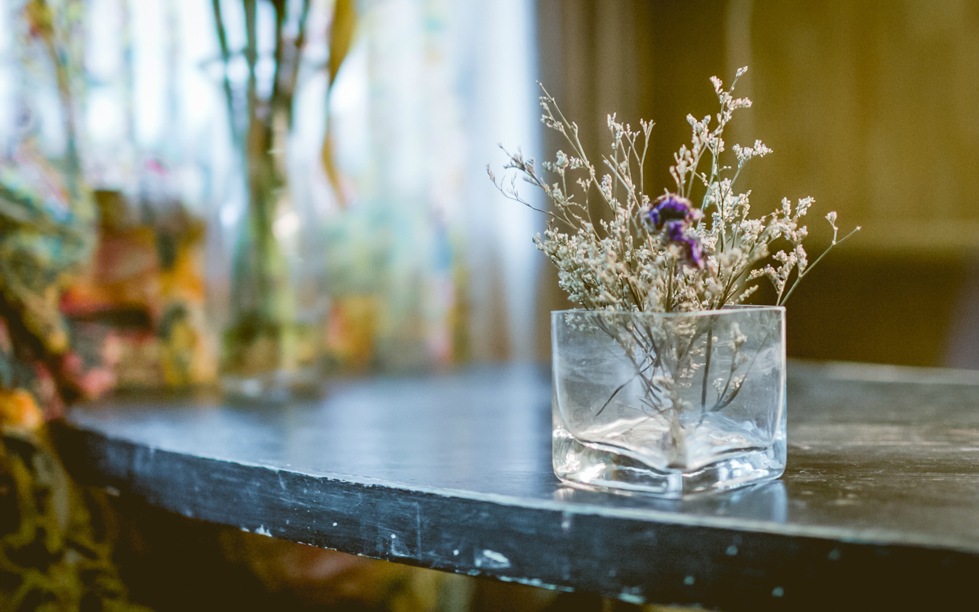 静物写真  杯子 干花  桌面
