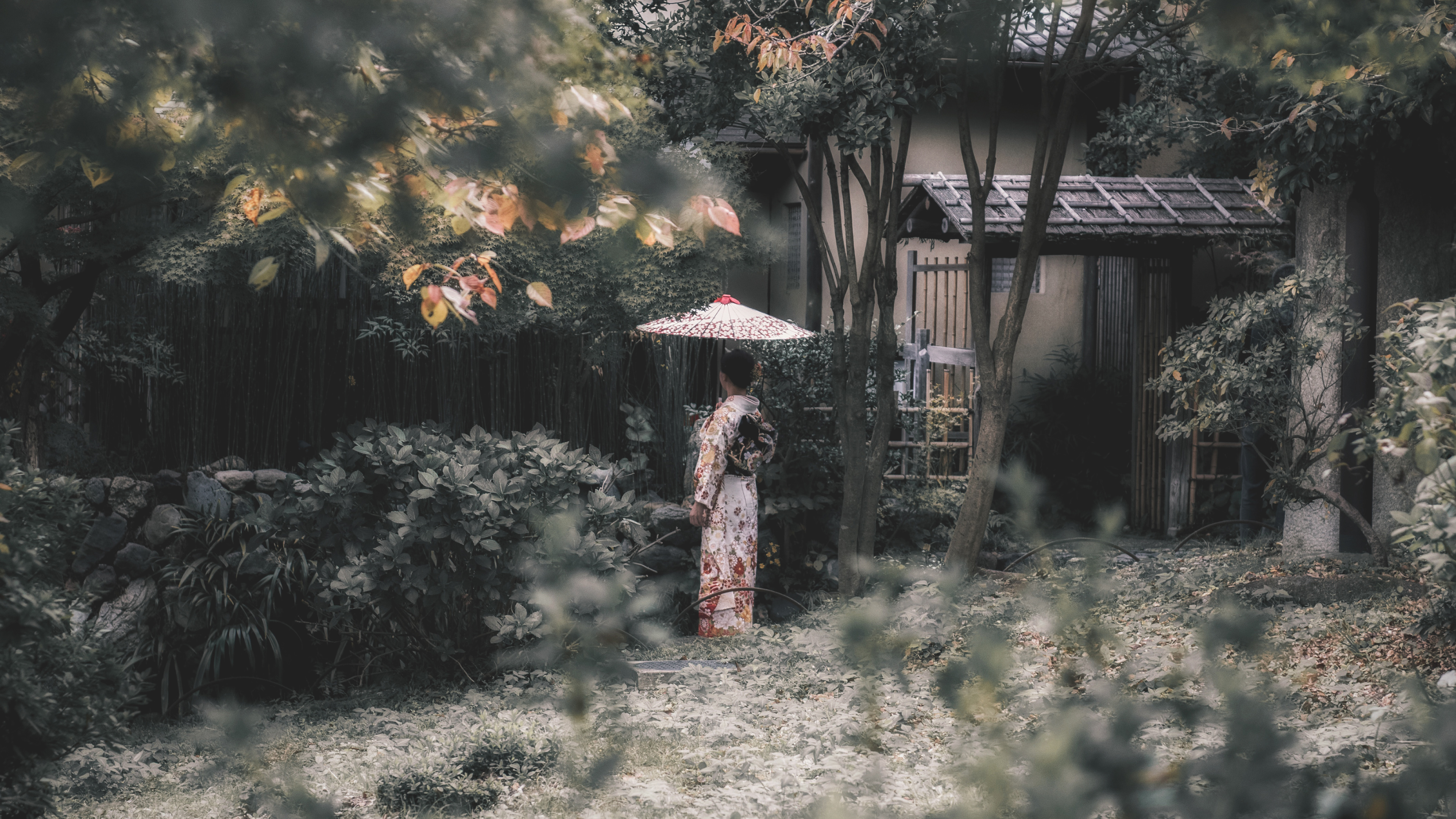 和服 庭院 日本 幕府