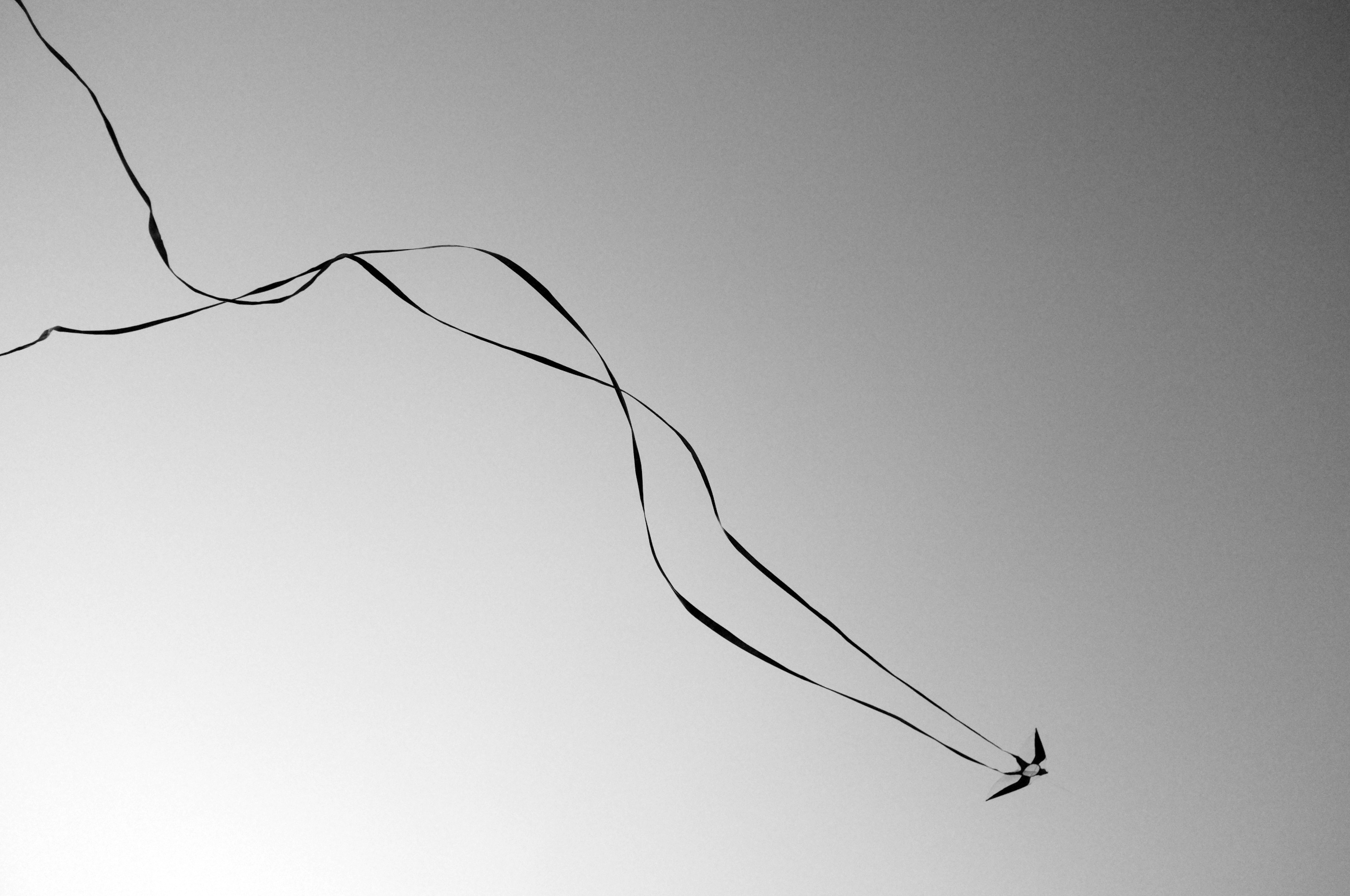 趣味 风筝 黑白