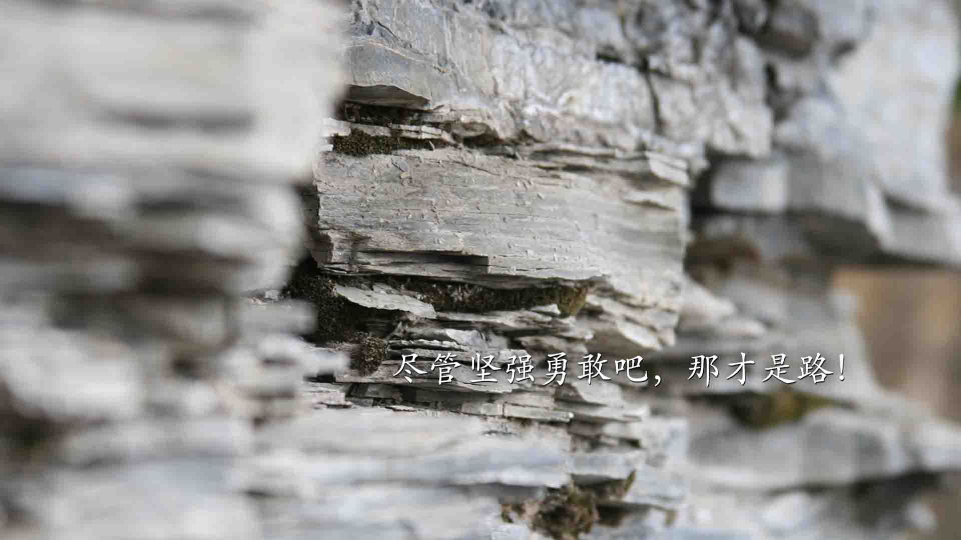 文字控  坚强  勇敢  路