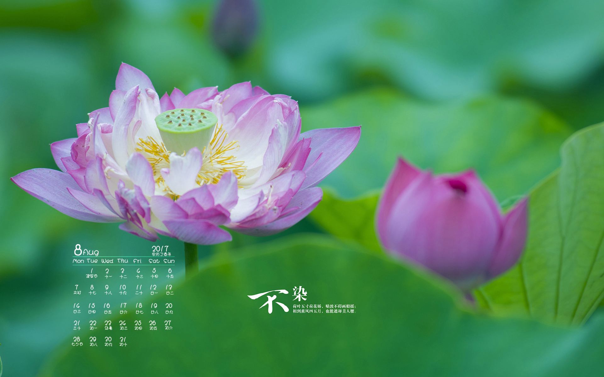 月历 2017年8月
