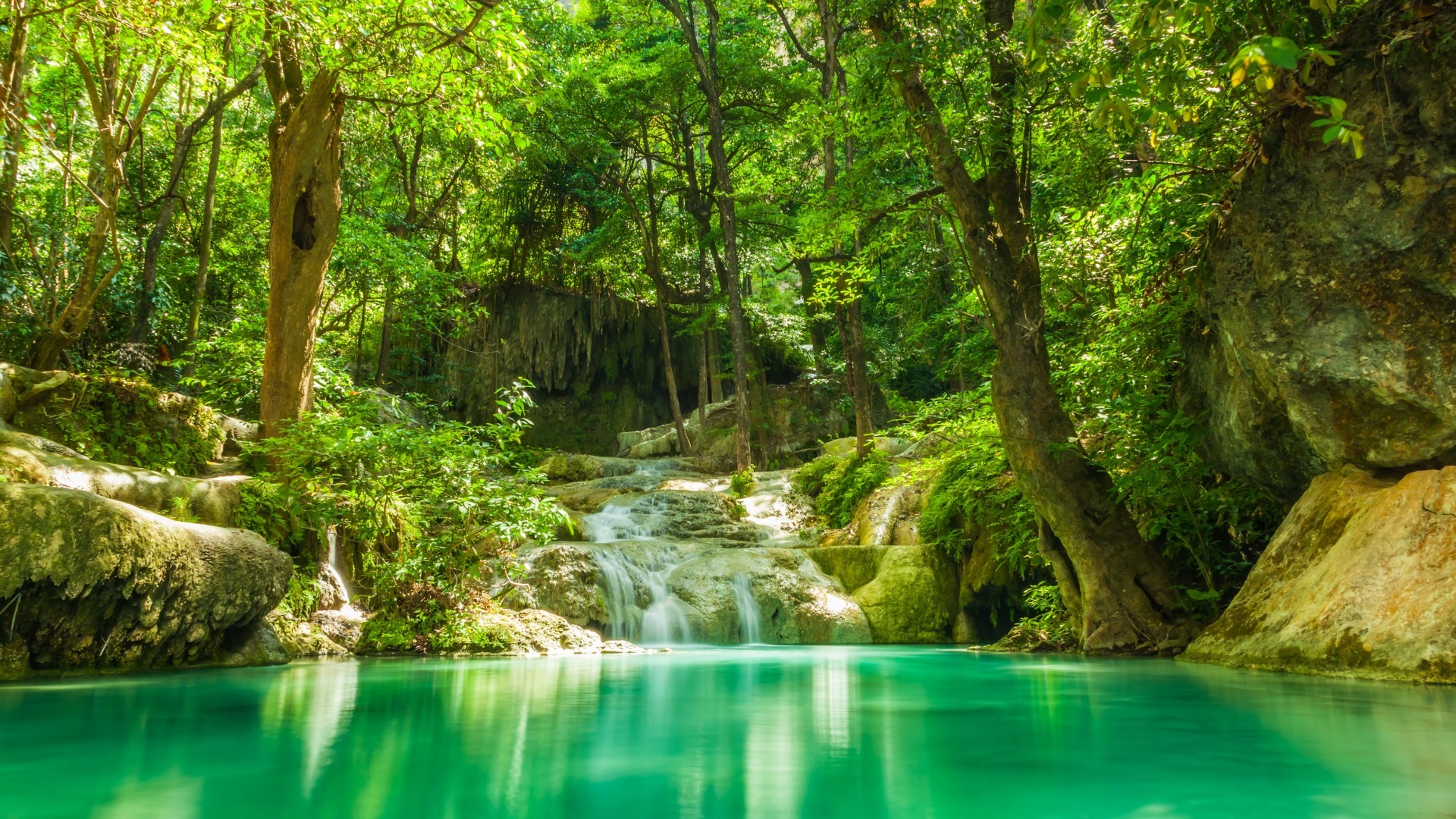 风景 自然风光 湖泊 森林
