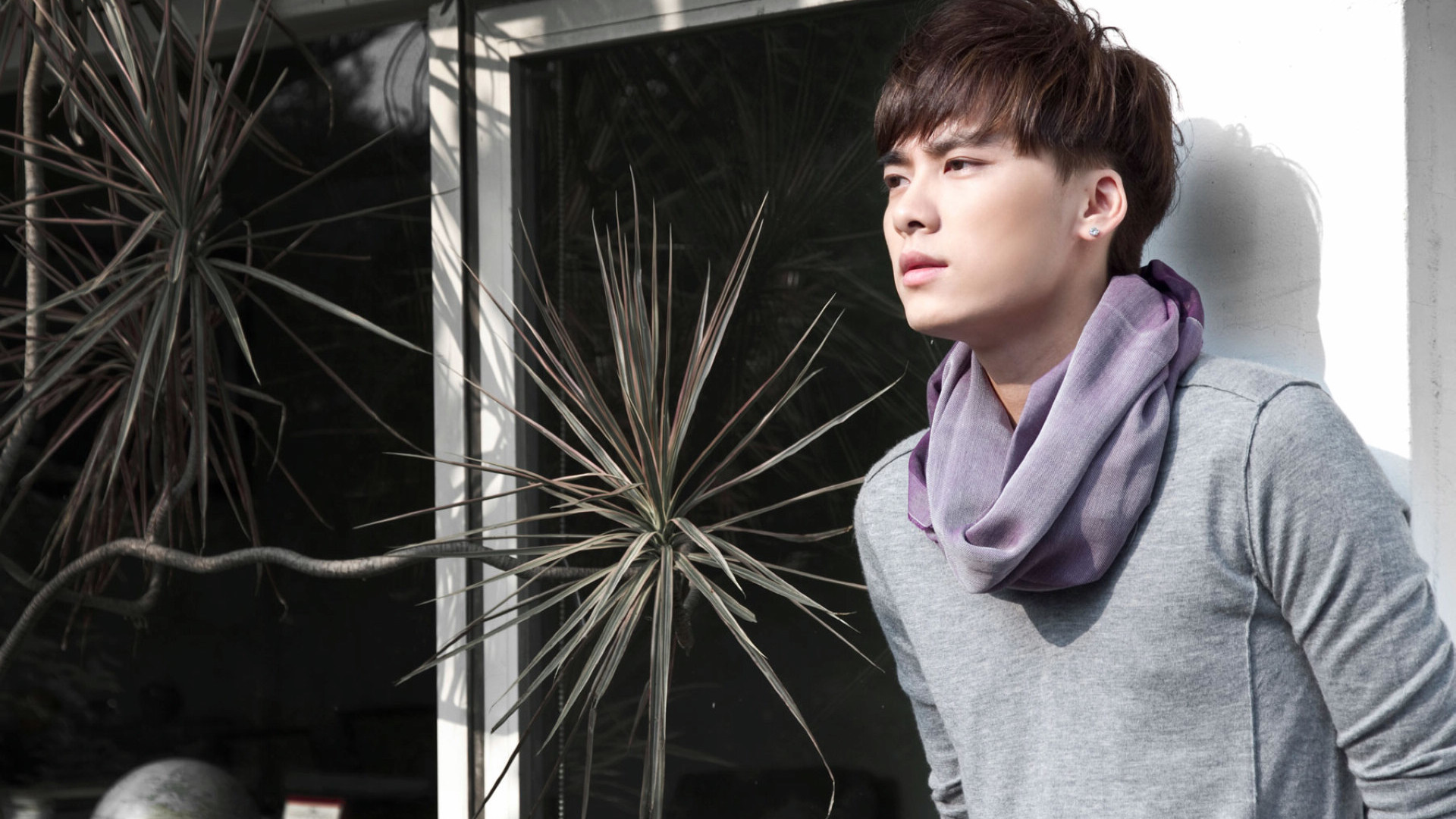 明星 李易峰 小鲜肉