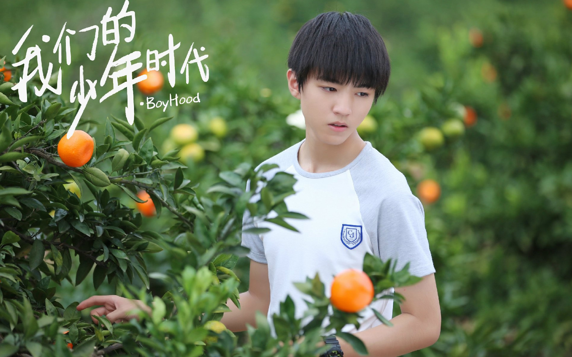 影视 电视剧 我的少年时代 王俊凯 TFBOYS