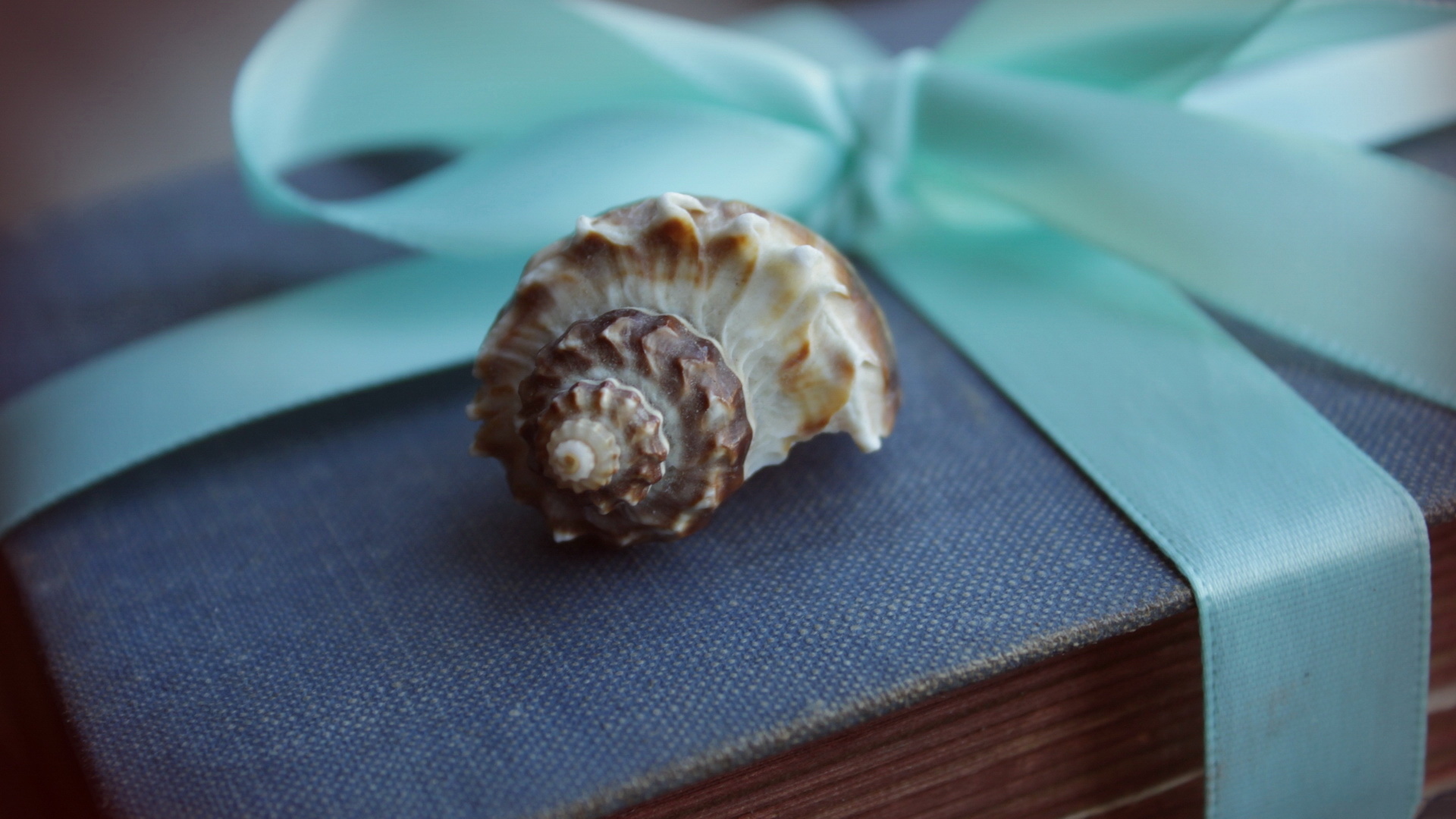 小清新 意境 摄影 儿童桌面专用